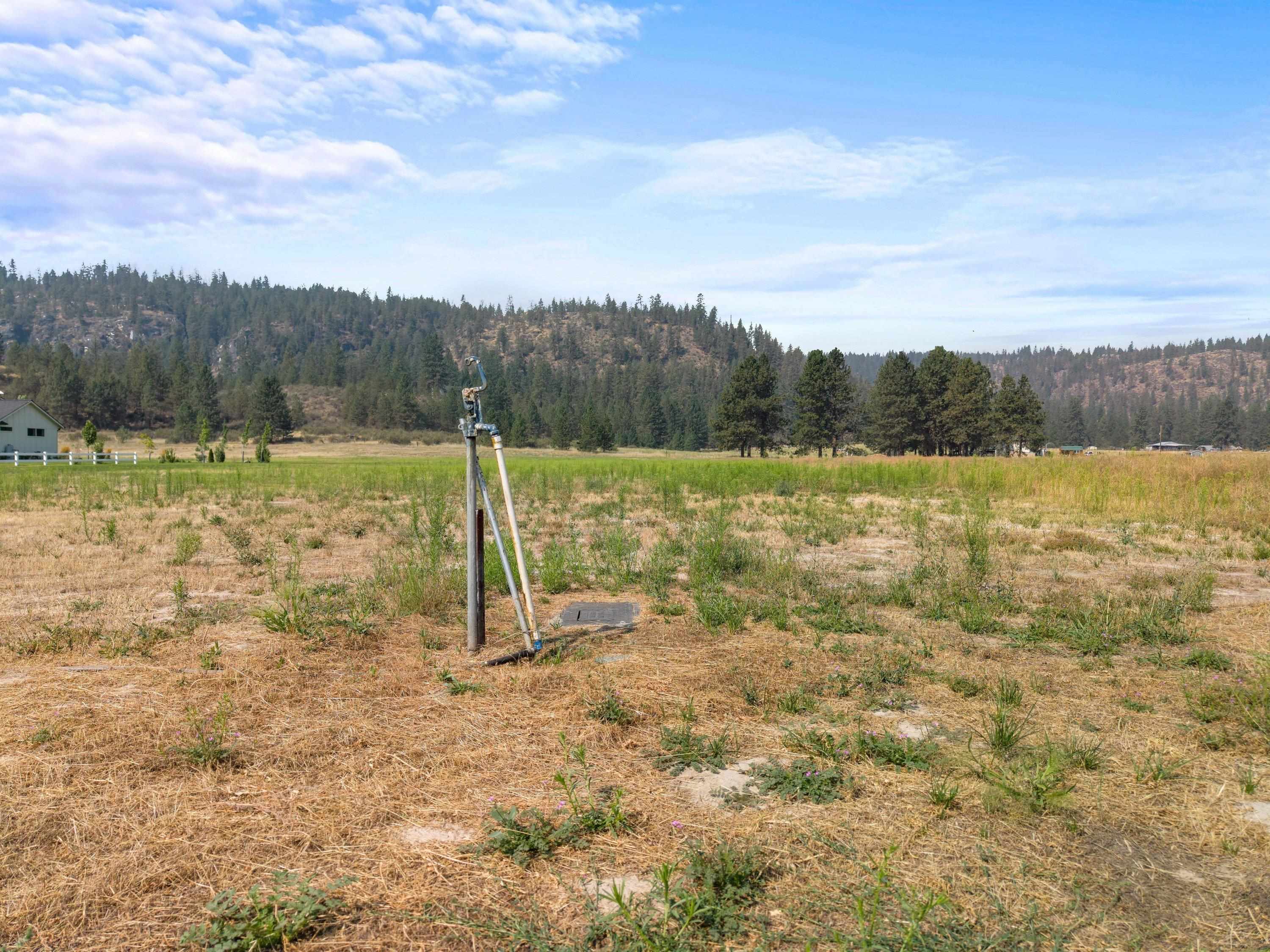 40289 N Barbara Ln - Photo 15