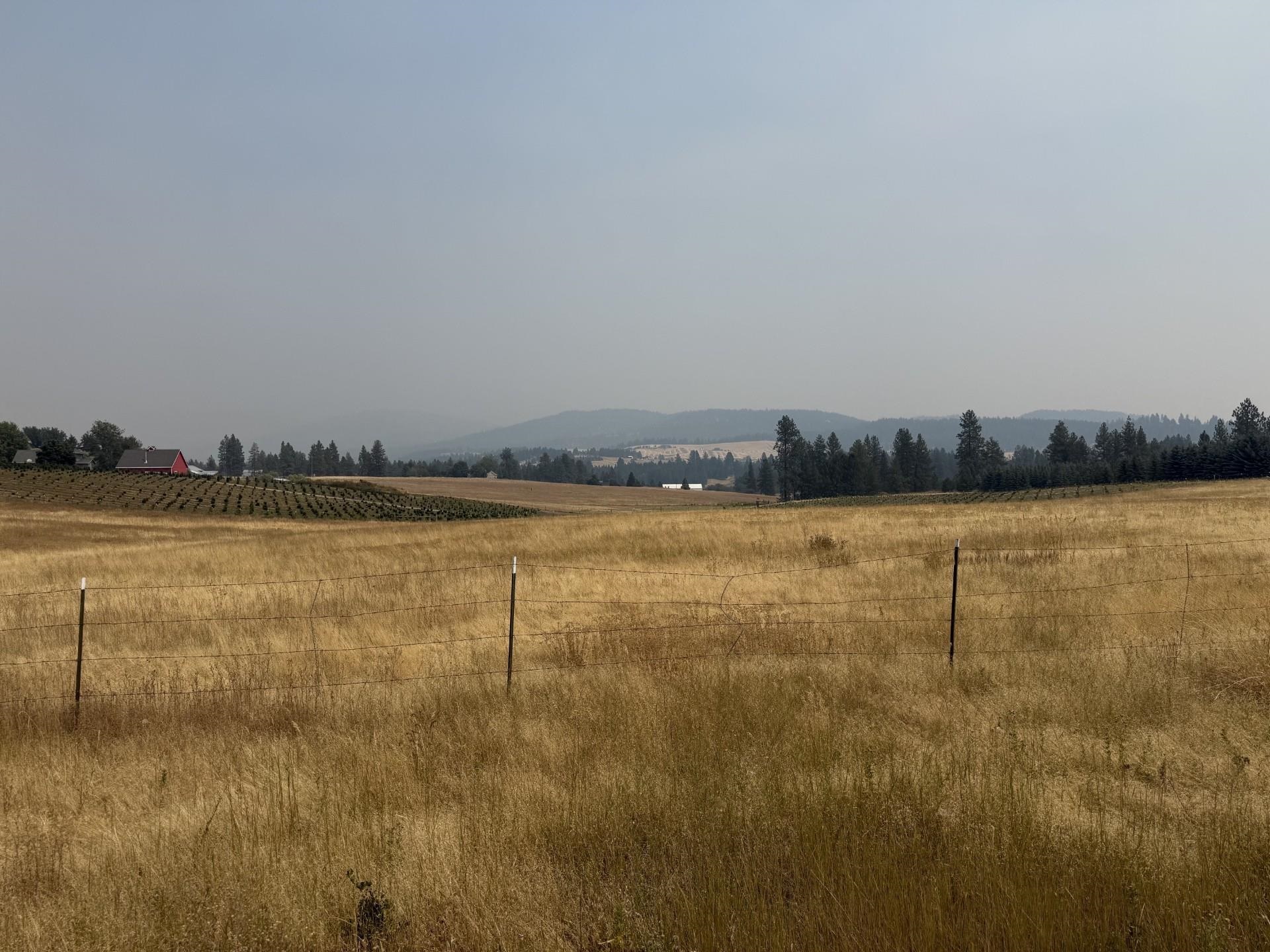 13XXX E Gibbs Rd - Photo 1
