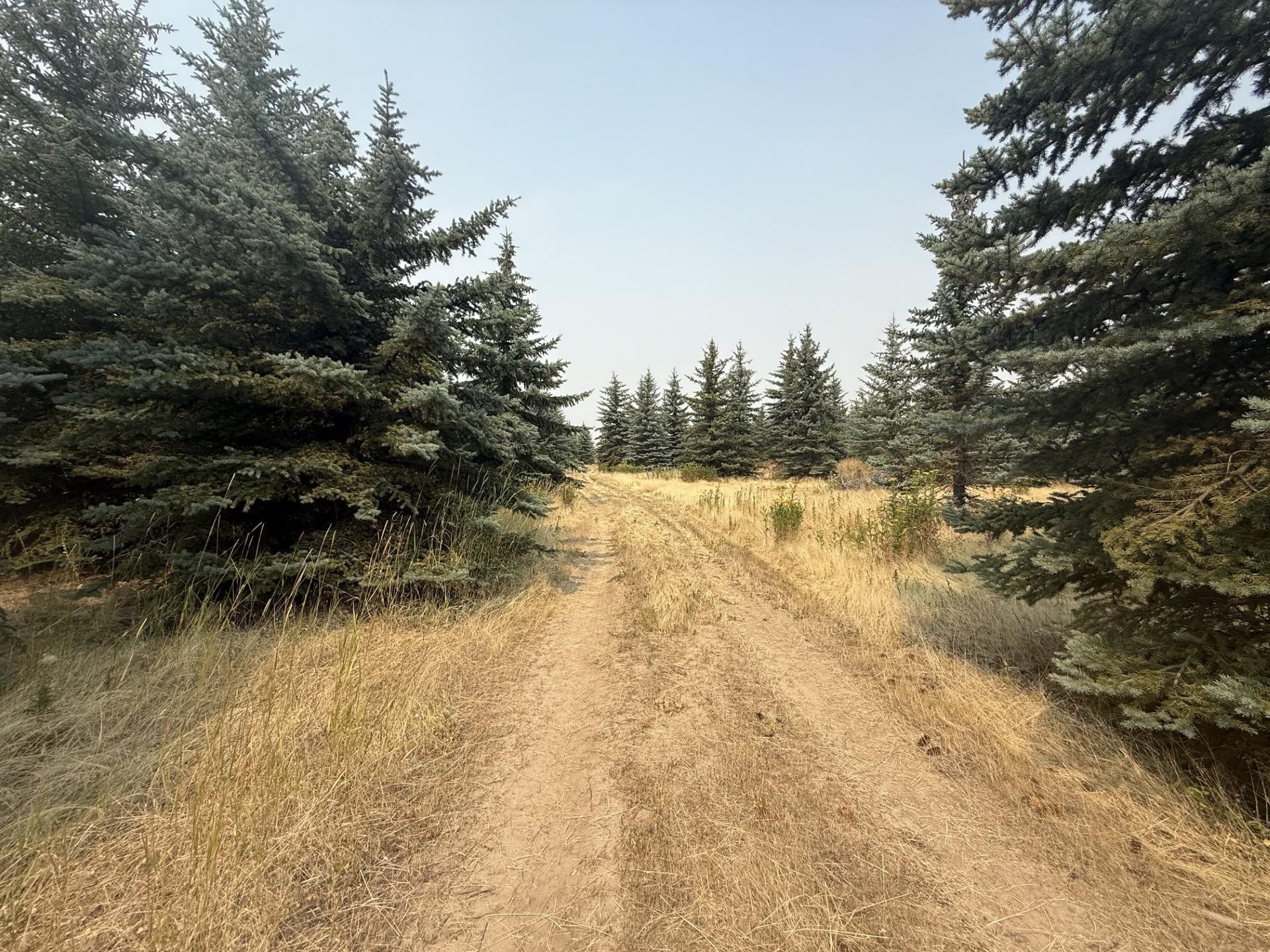 13XXX E Gibbs Rd - Photo 2