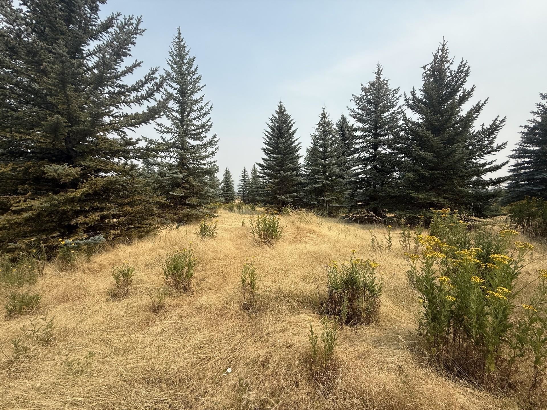 13XXX E Gibbs Rd - Photo 4