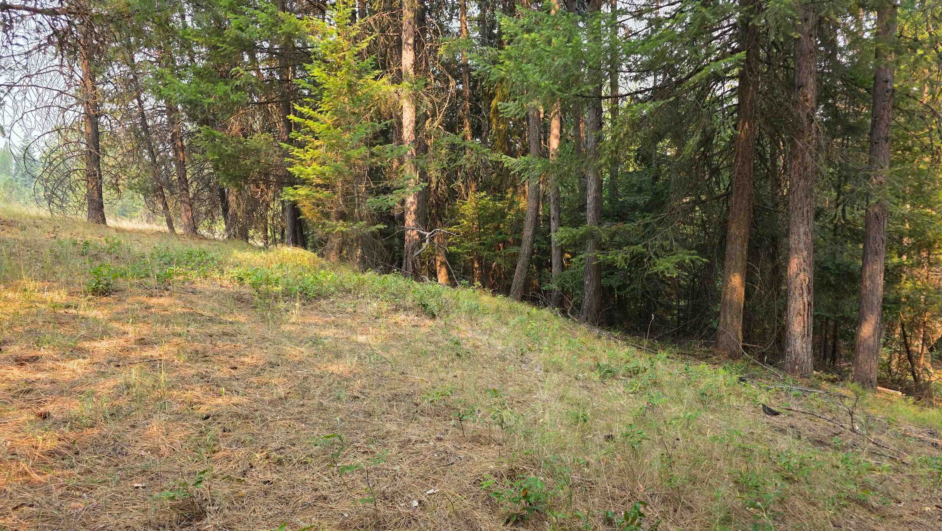 334 Sanham Ln - Photo 41