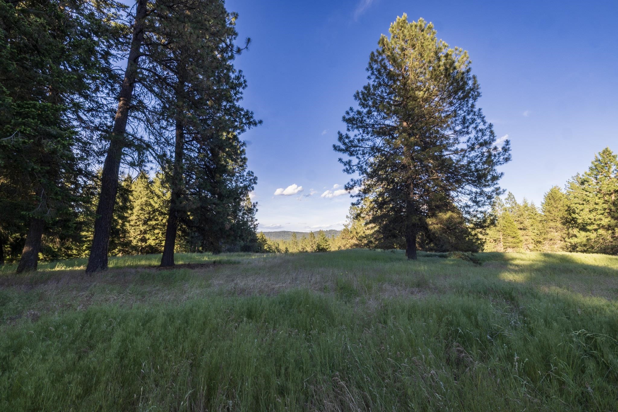 31825 N REGAL Rd - Photo 41