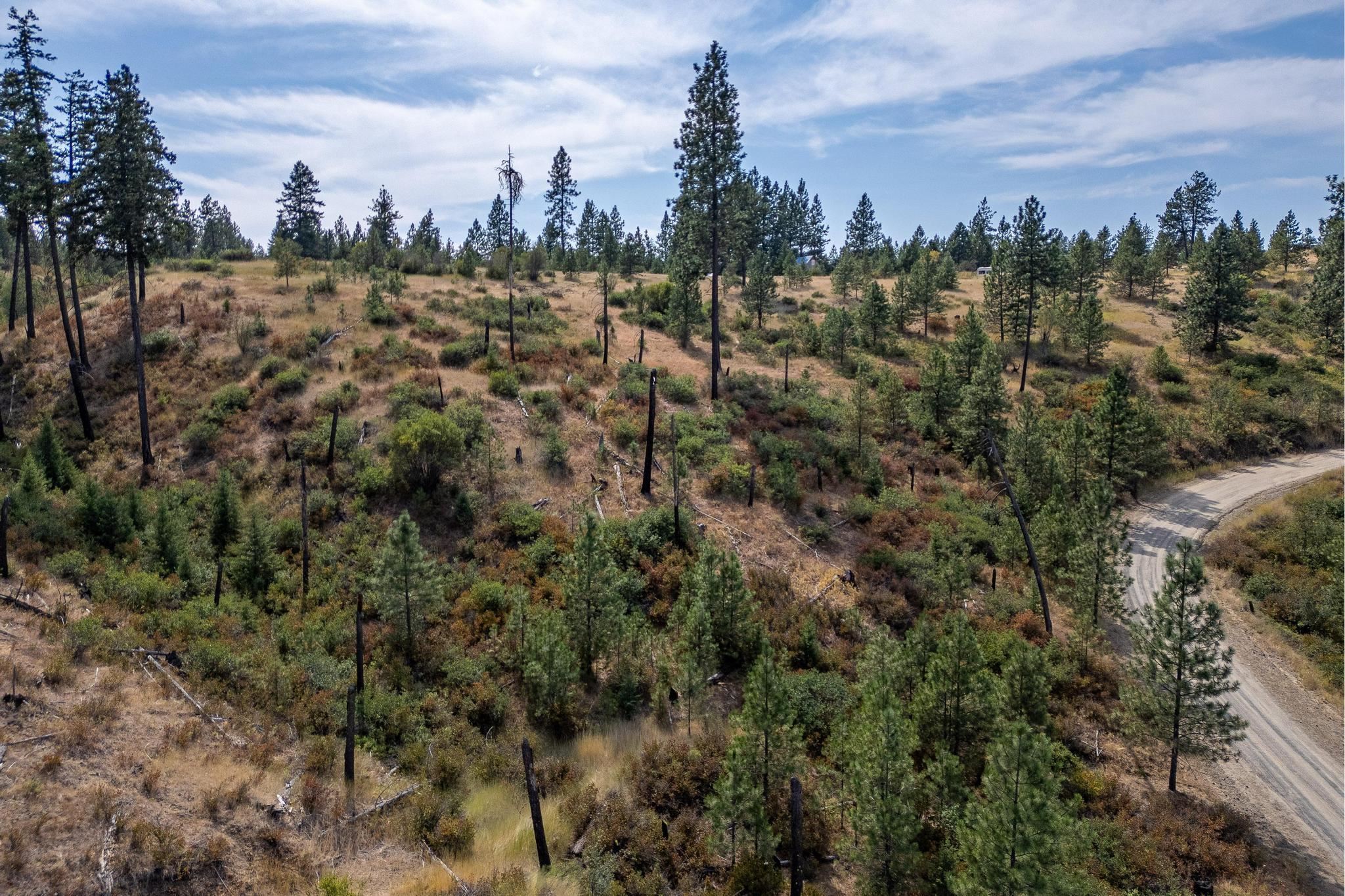 NKA N Valley Rd - Photo 26