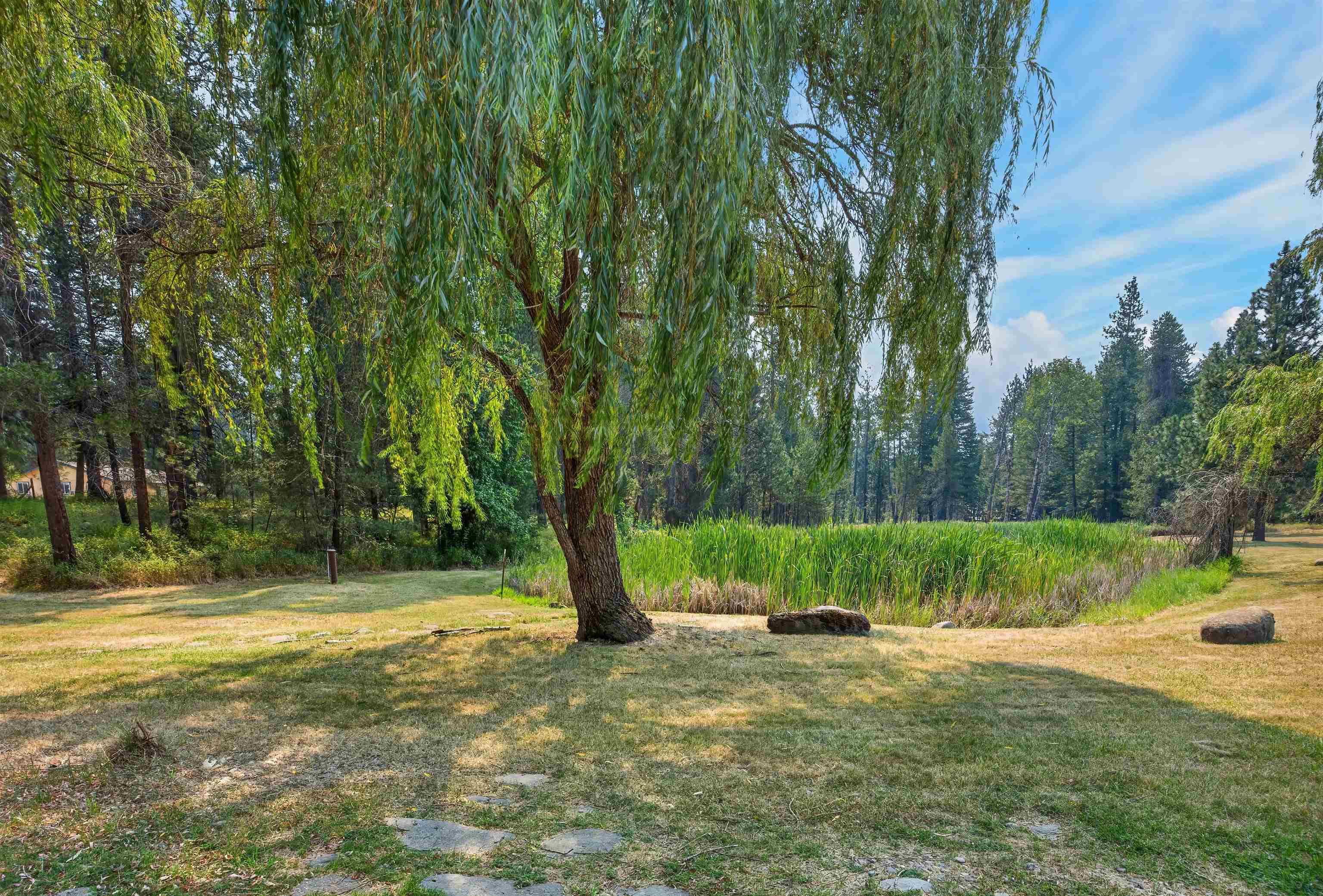 3420 E Bailey Rd - Photo 6
