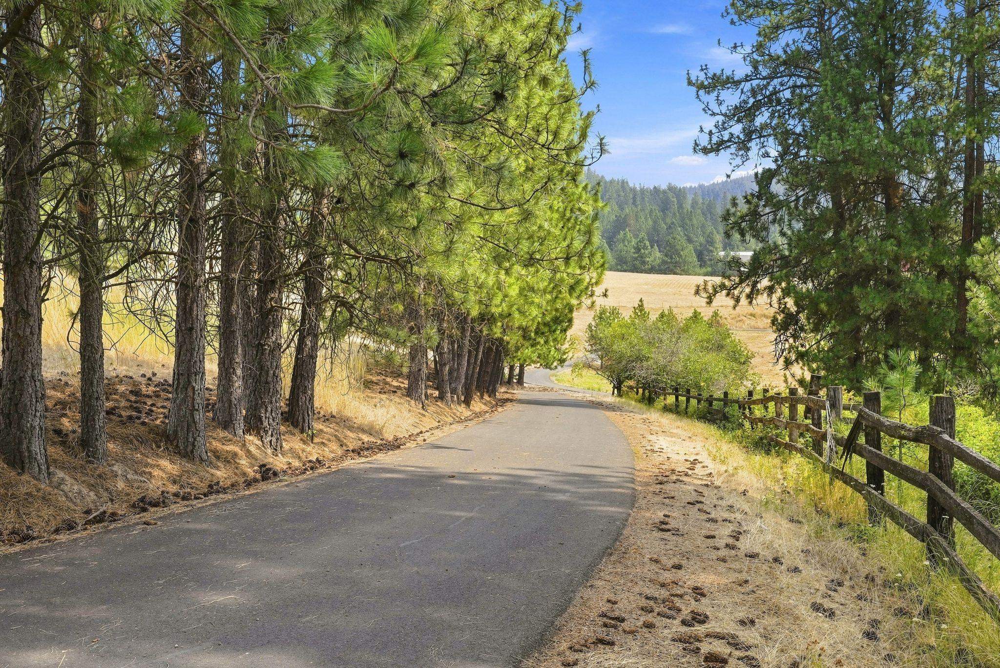16501 E MACMAHAN Rd - Photo 50