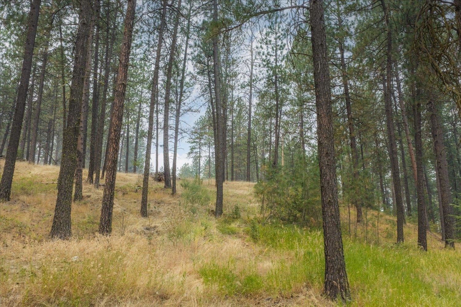 2505 N Christensen Rd - Photo 44