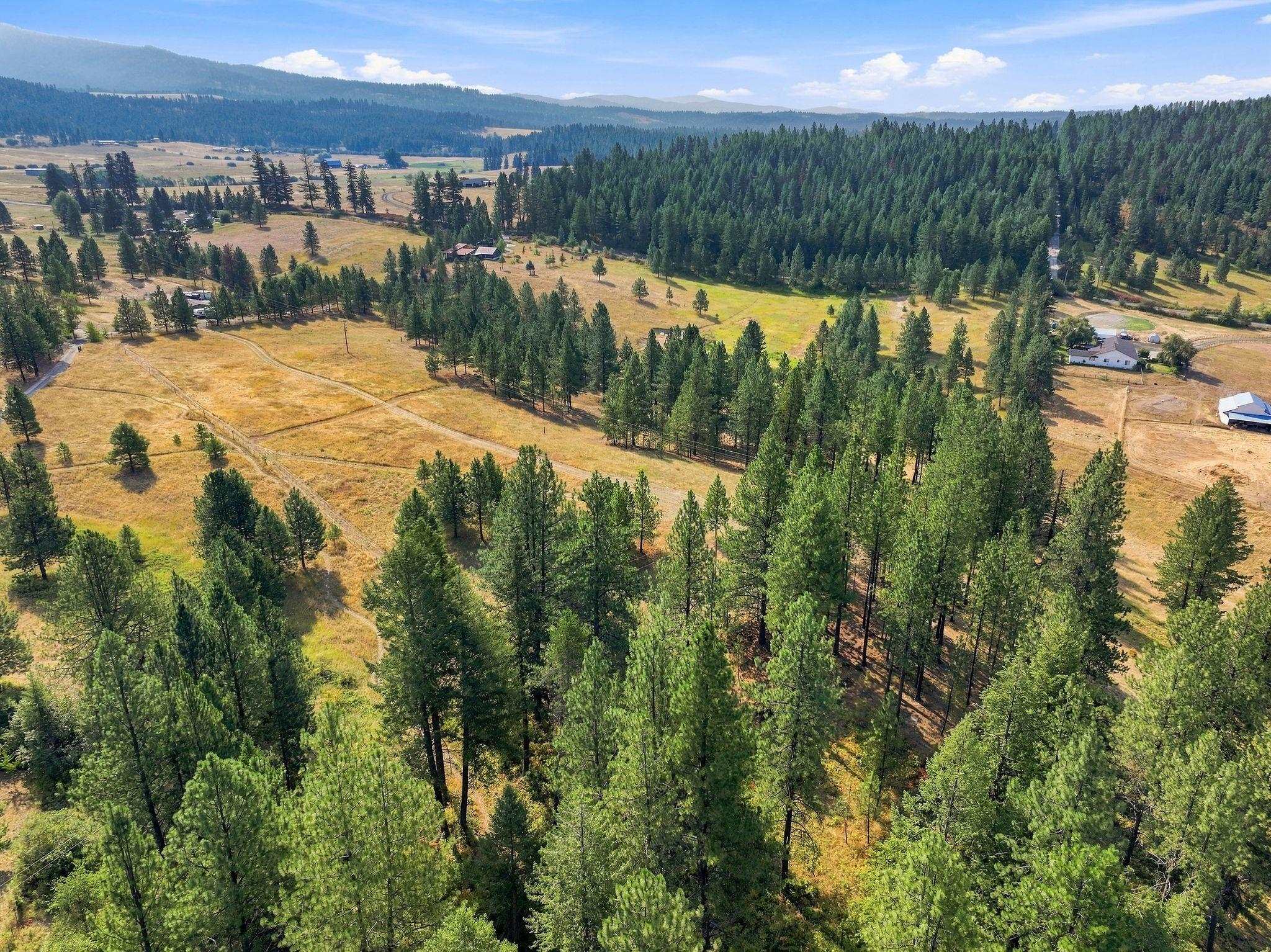 0 N Scotts Ridge Ln - Photo 9