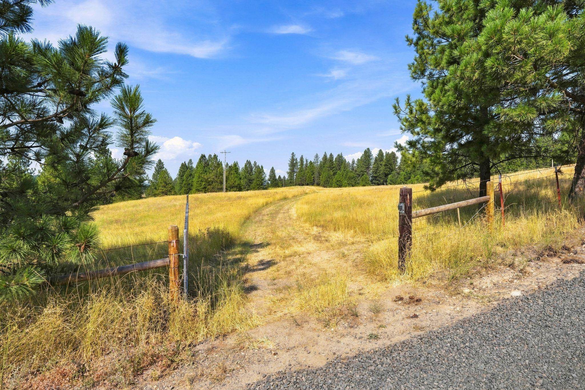 0 N Scotts Ridge Ln - Photo 1