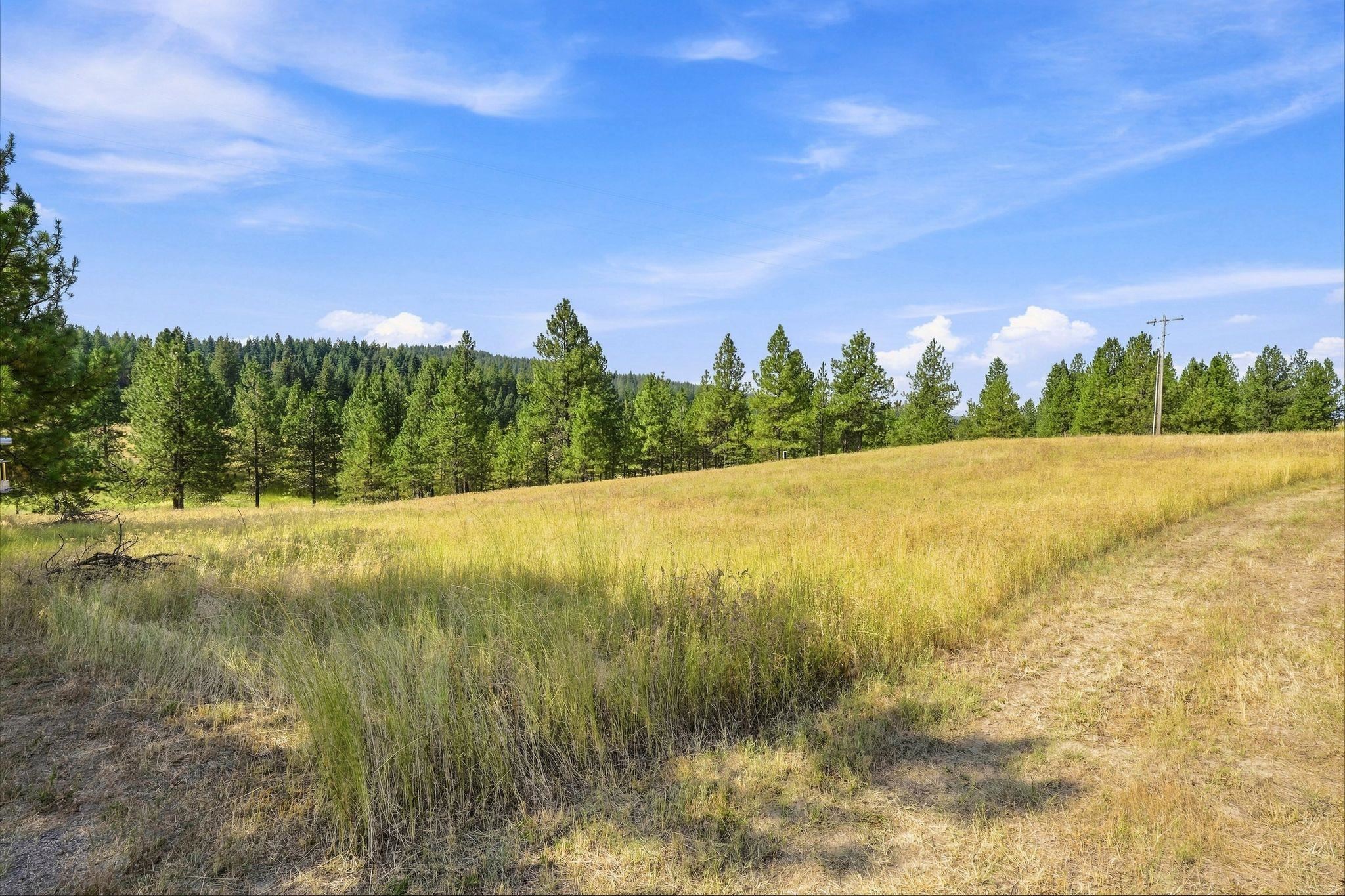 0 N Scotts Ridge Ln - Photo 4
