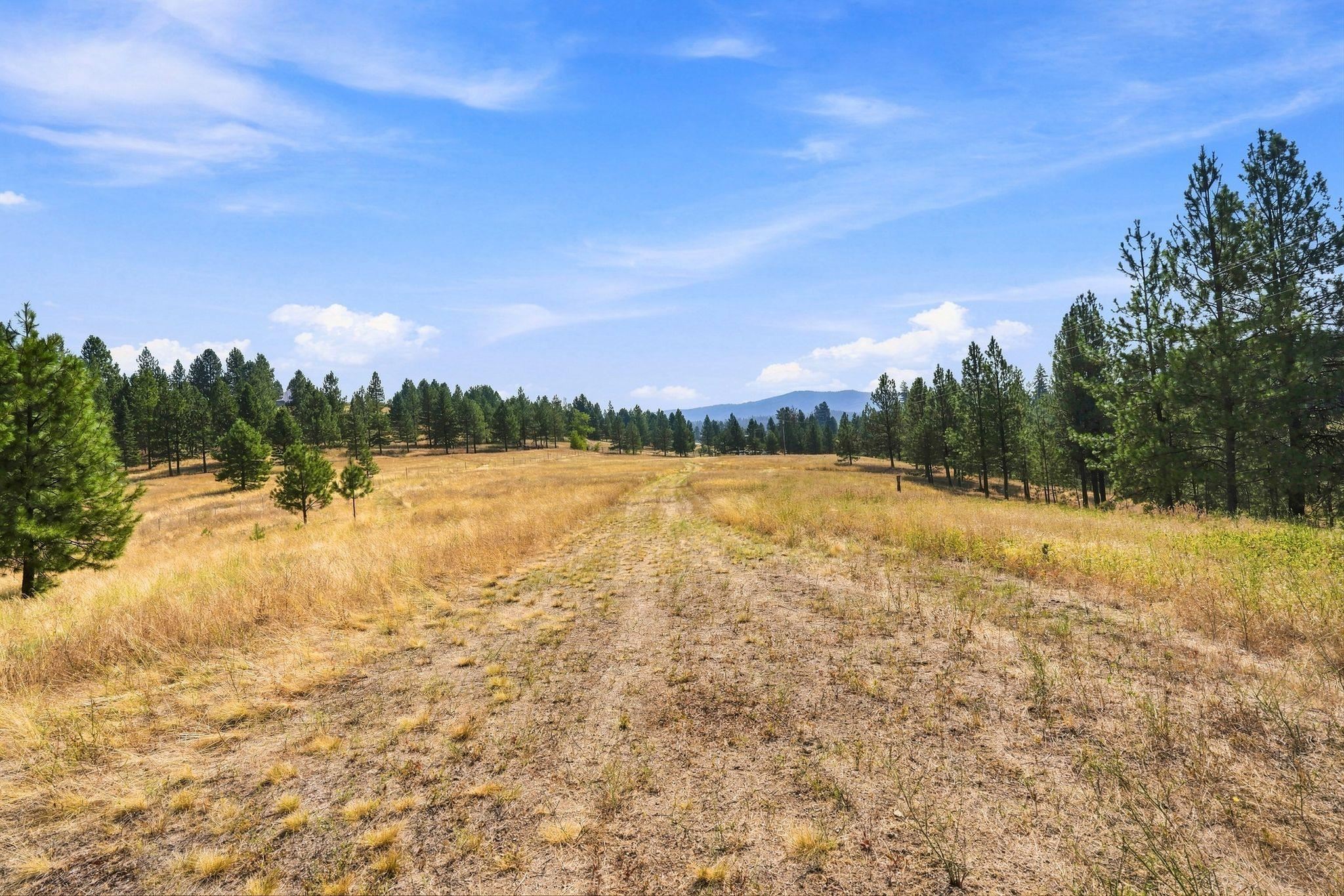 0 N Scotts Ridge Ln - Photo 32