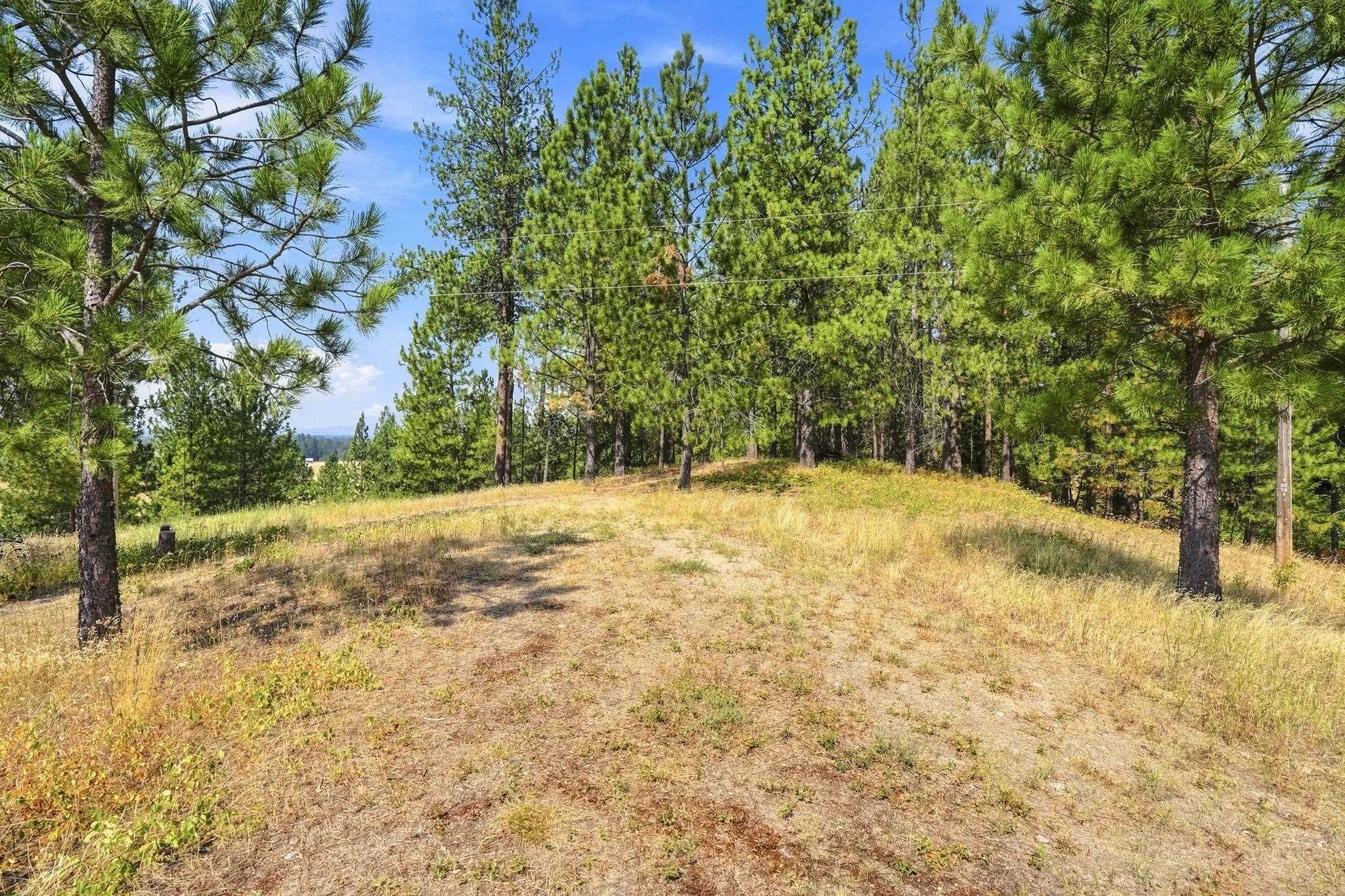 0 N Scotts Ridge Ln - Photo 16