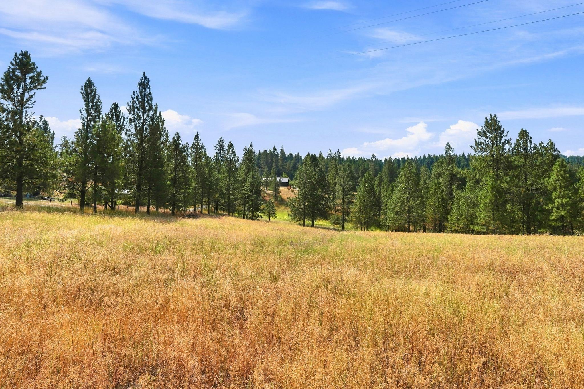 0 N Scotts Ridge Ln - Photo 35