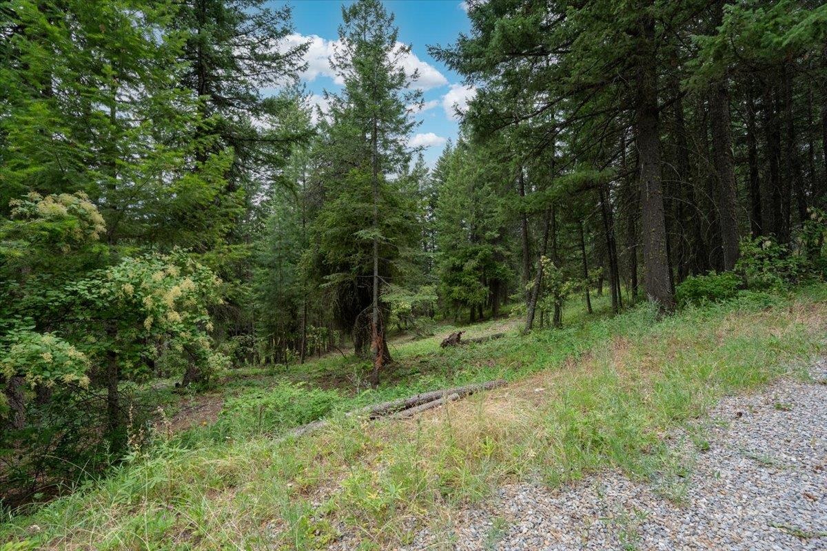 28420 N Thunderhill Ln - Photo 7