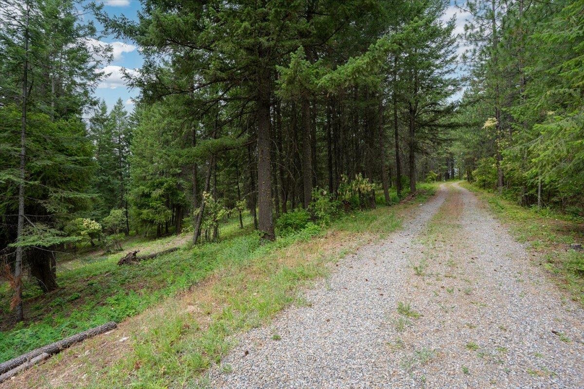 28420 N Thunderhill Ln - Photo 6