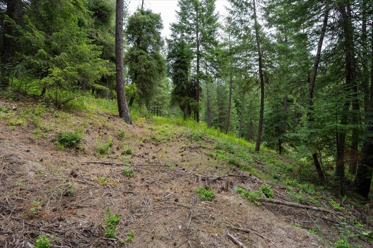 28420 N Thunderhill Ln - Photo 11