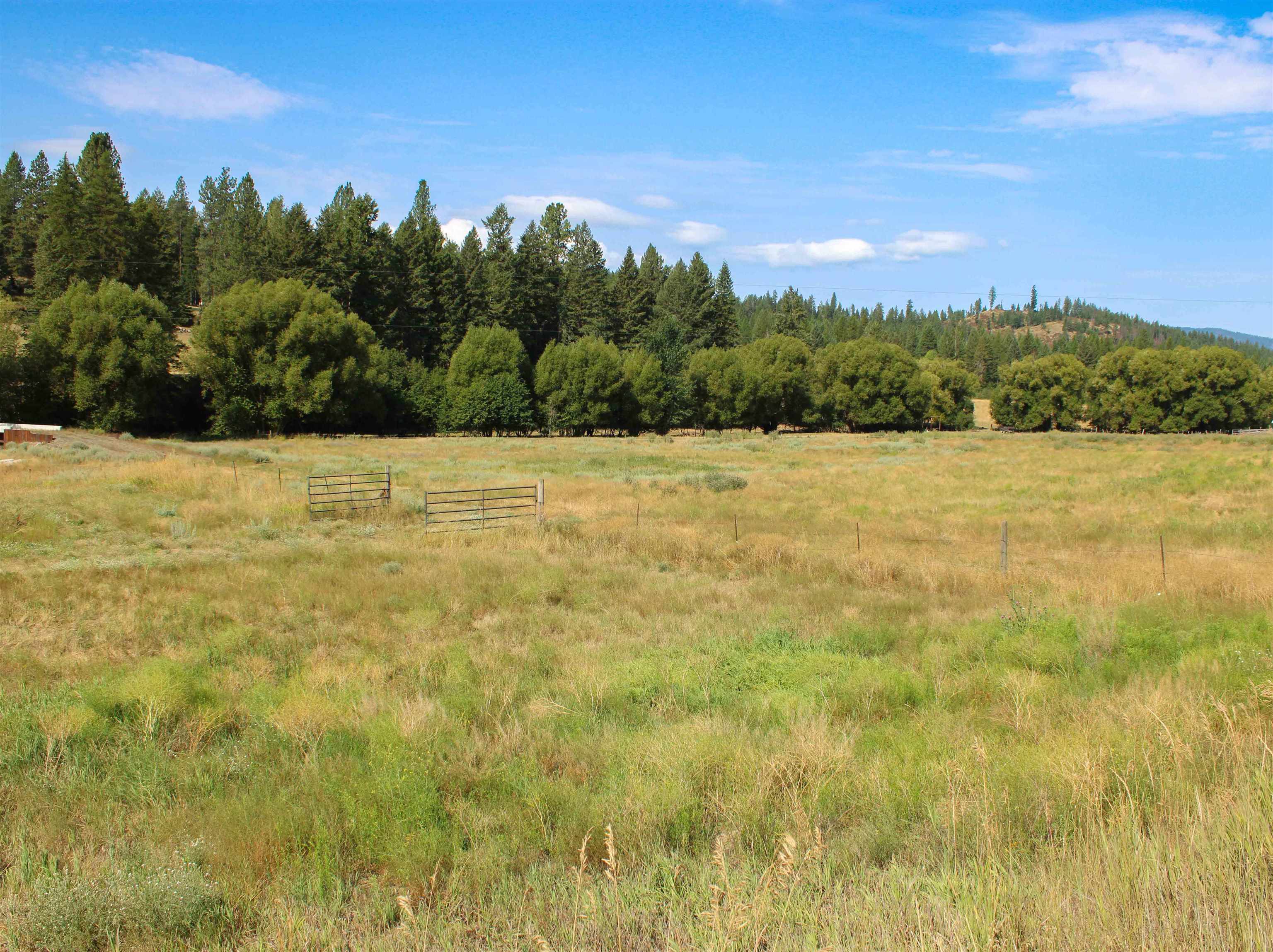 3066 Wrights Valley Rd - Photo 19