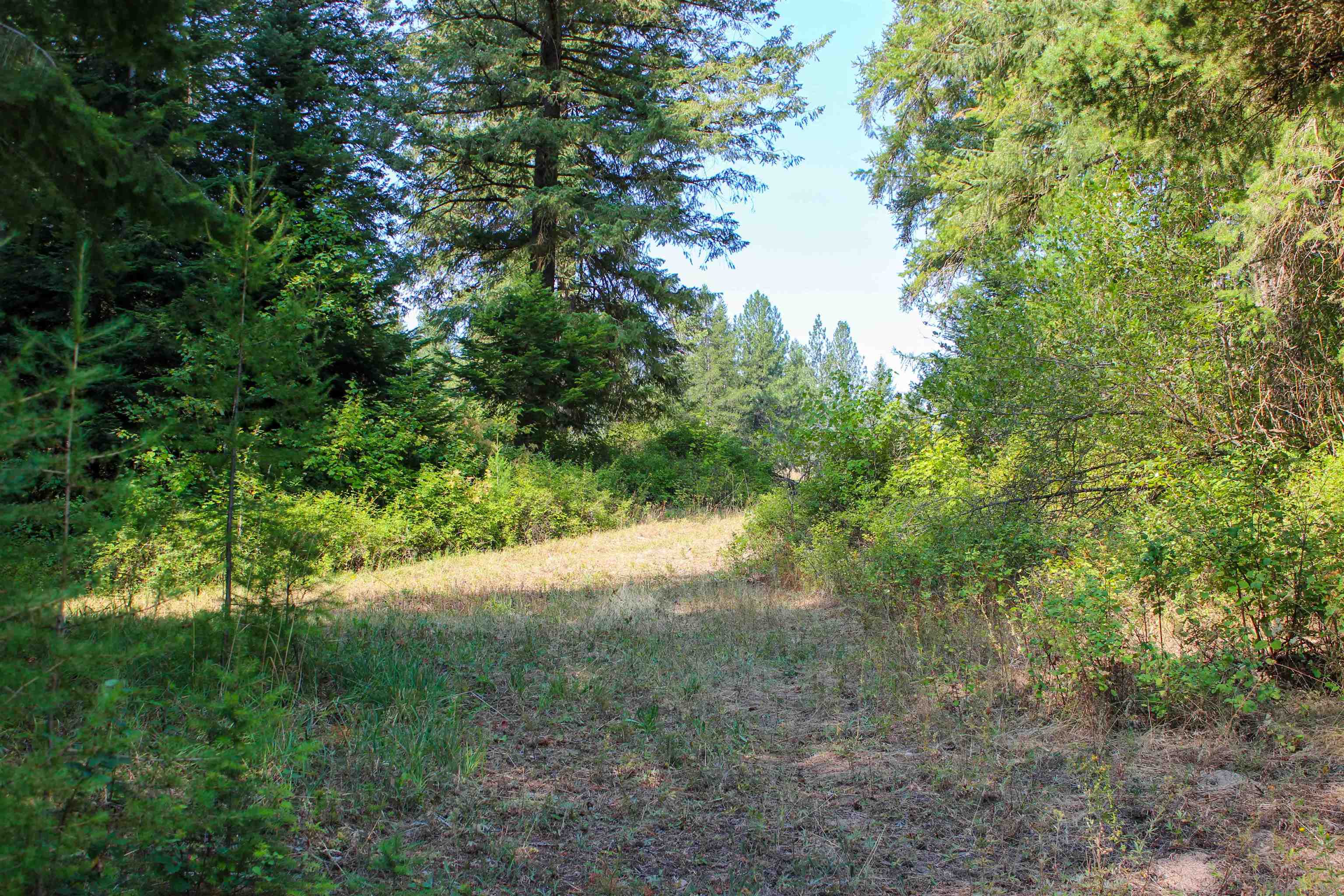 3066 Wrights Valley Rd - Photo 26