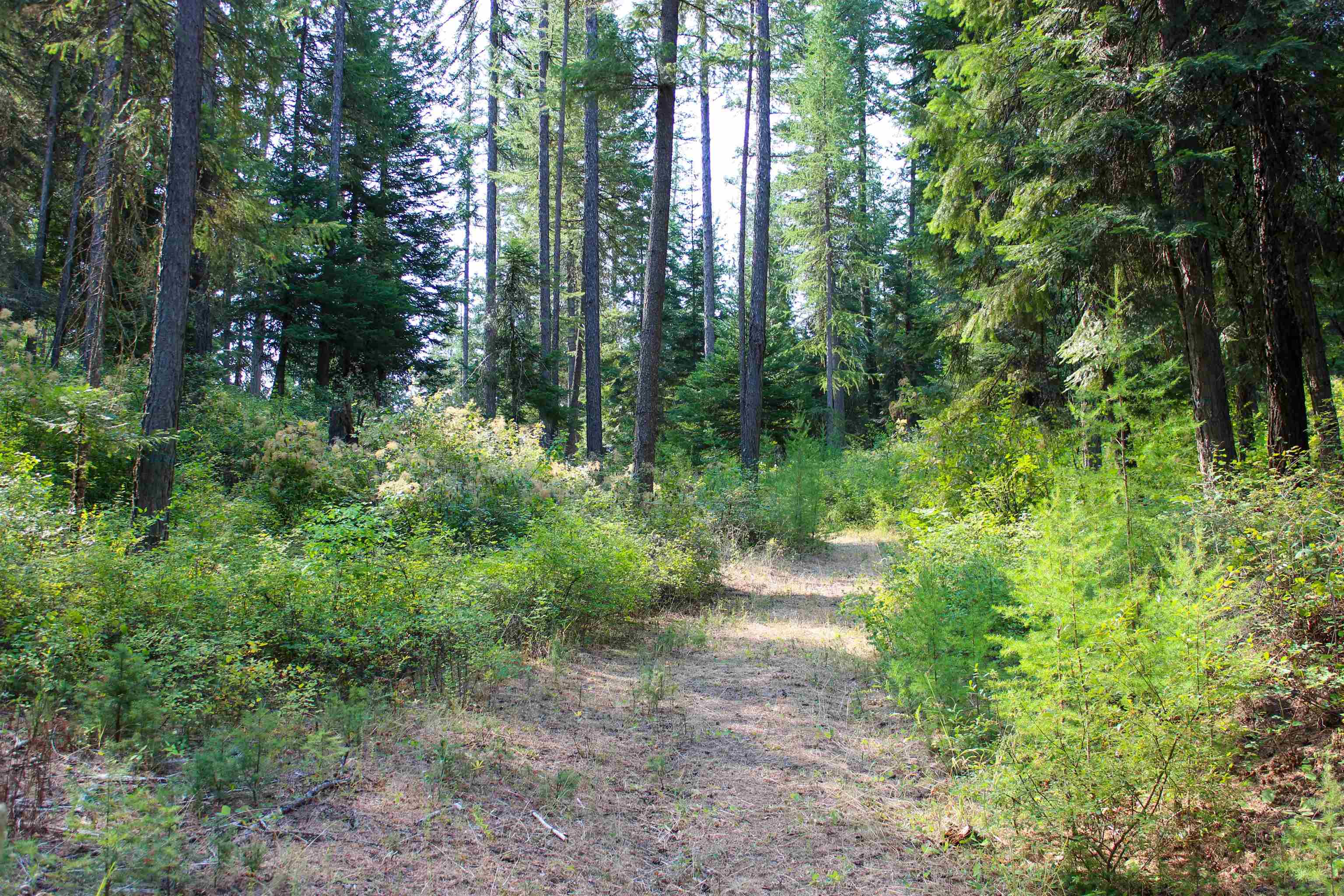 3066 Wrights Valley Rd - Photo 27
