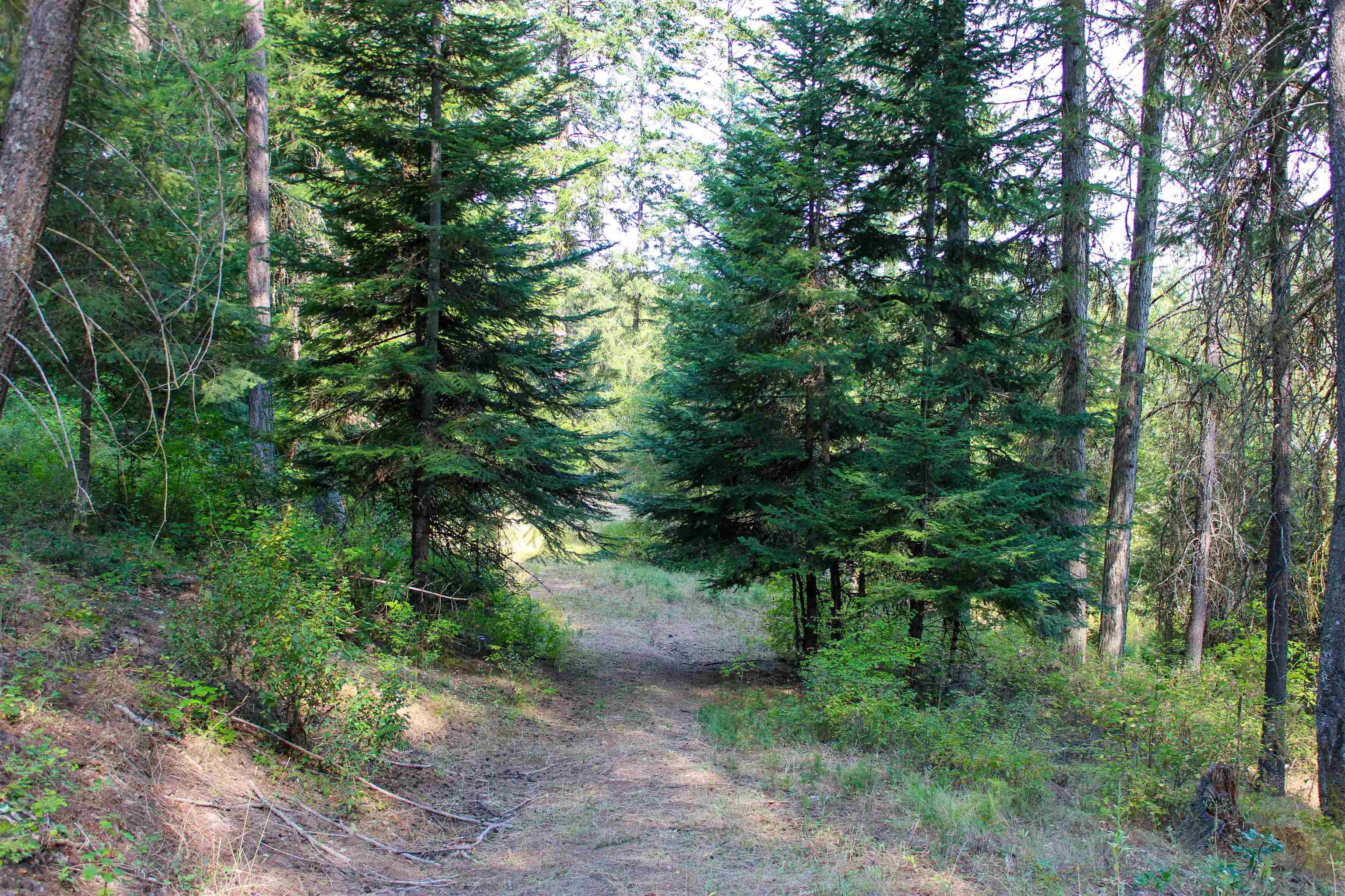 3066 Wrights Valley Rd - Photo 28