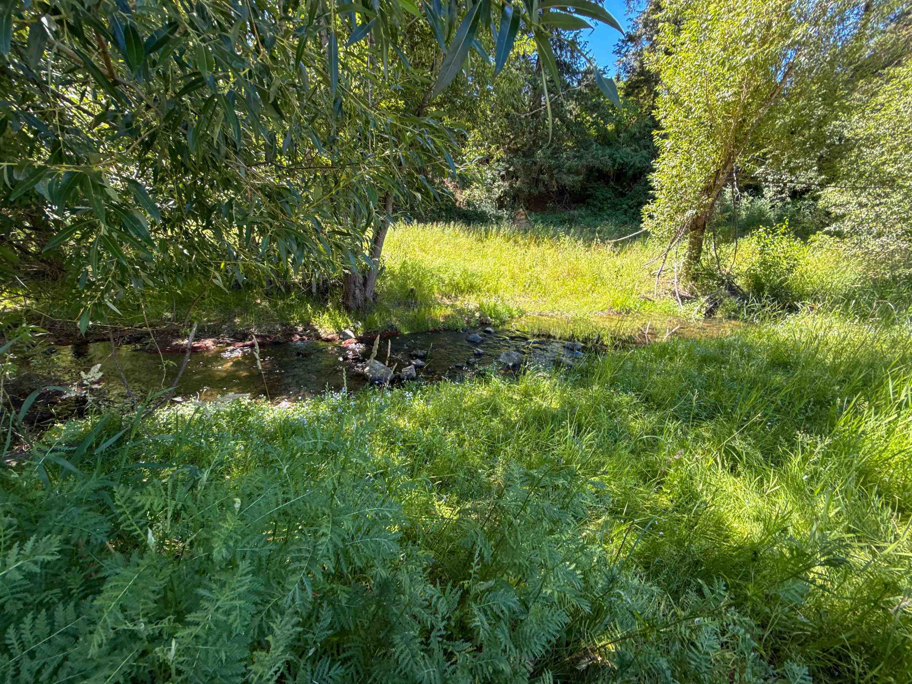 3066 Wrights Valley Rd - Photo 29