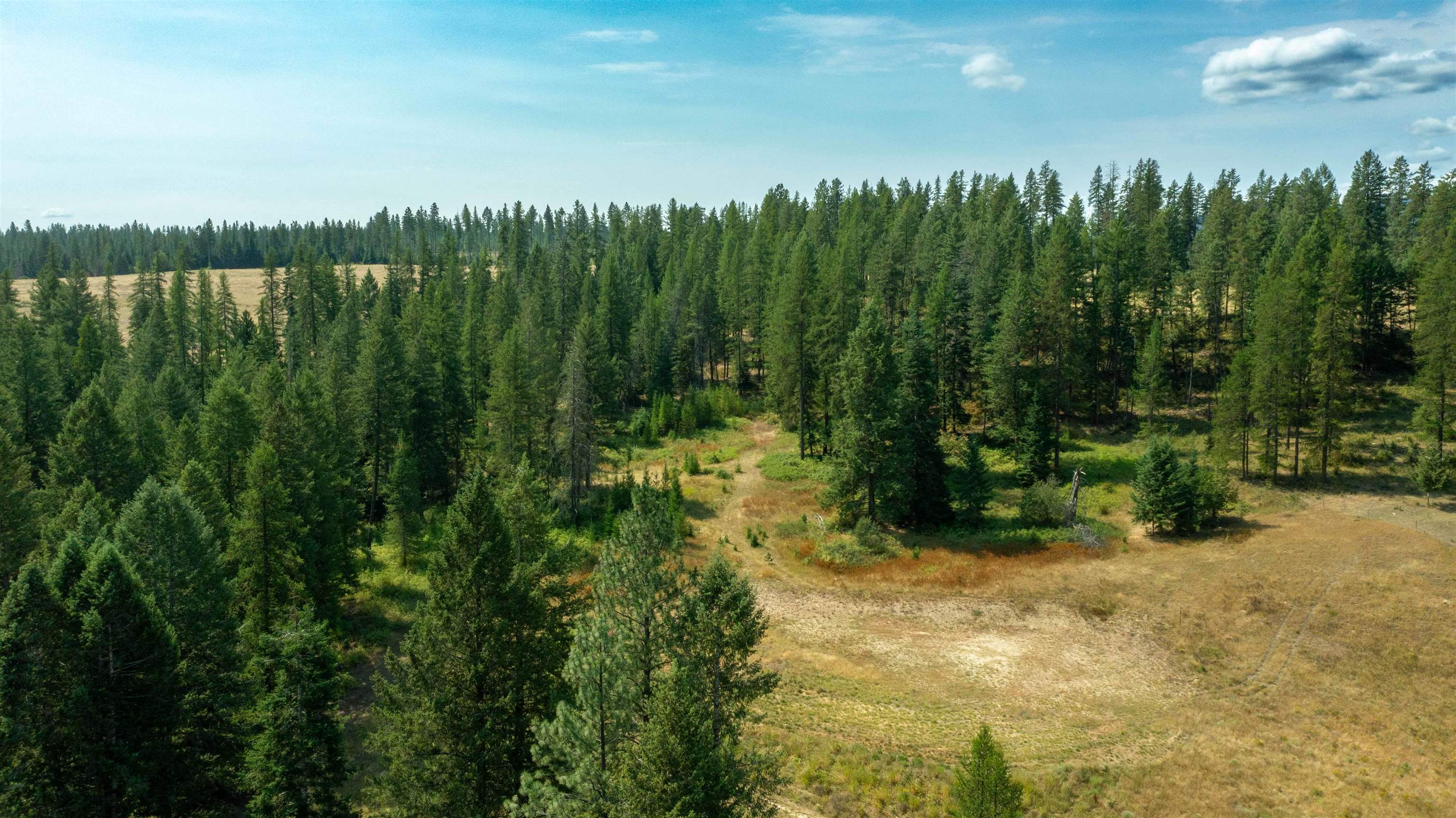3066 Wrights Valley Rd - Photo 39