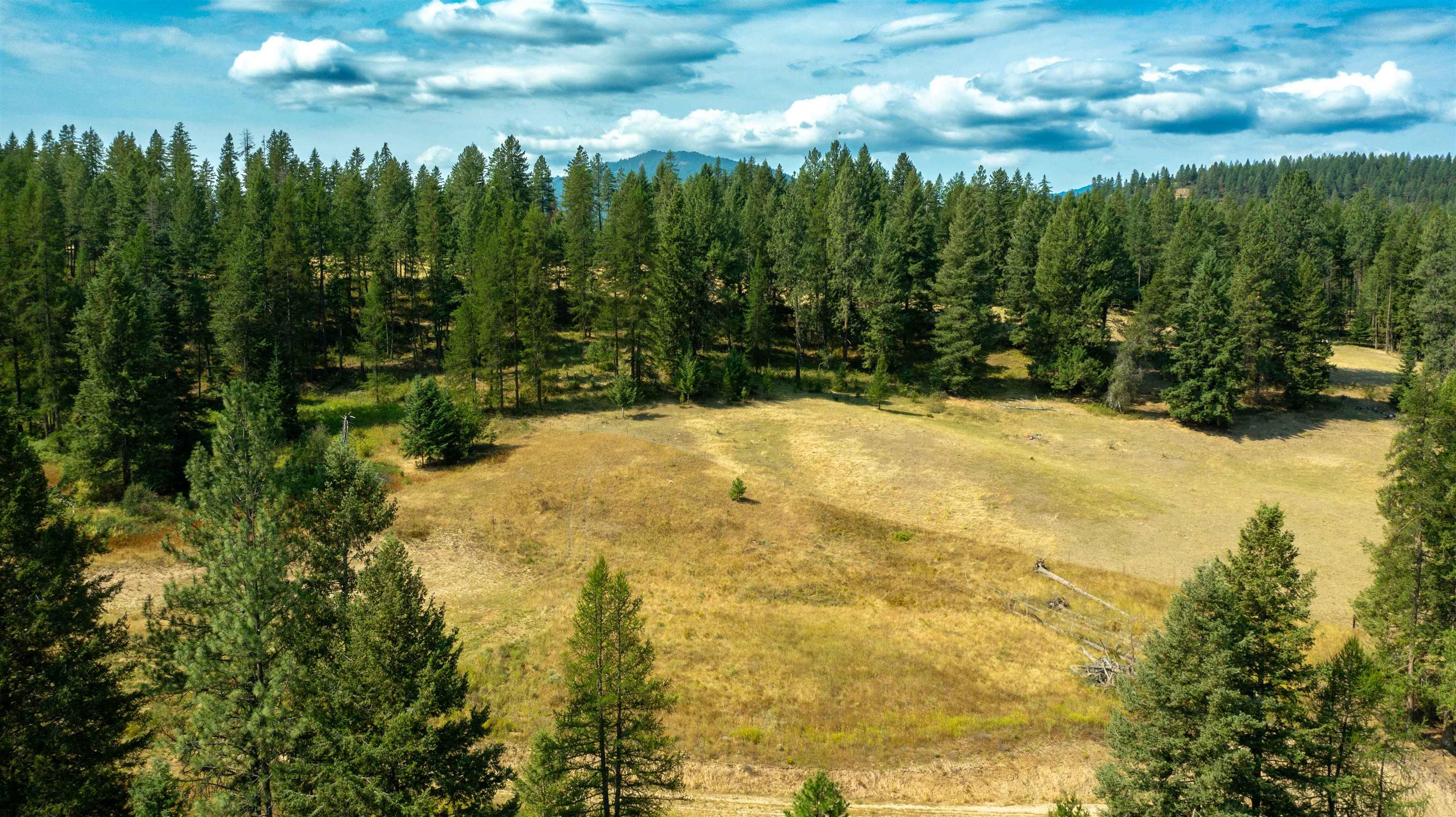 3066 Wrights Valley Rd - Photo 40