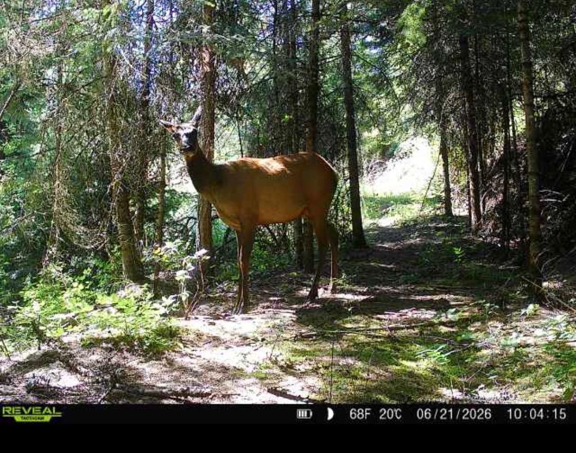 3066 Wrights Valley Rd - Photo 46