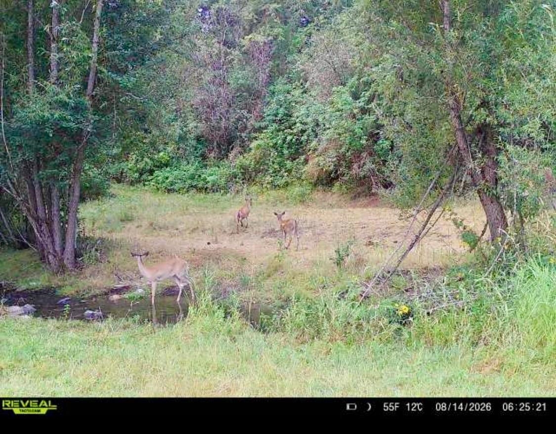 3066 Wrights Valley Rd - Photo 49