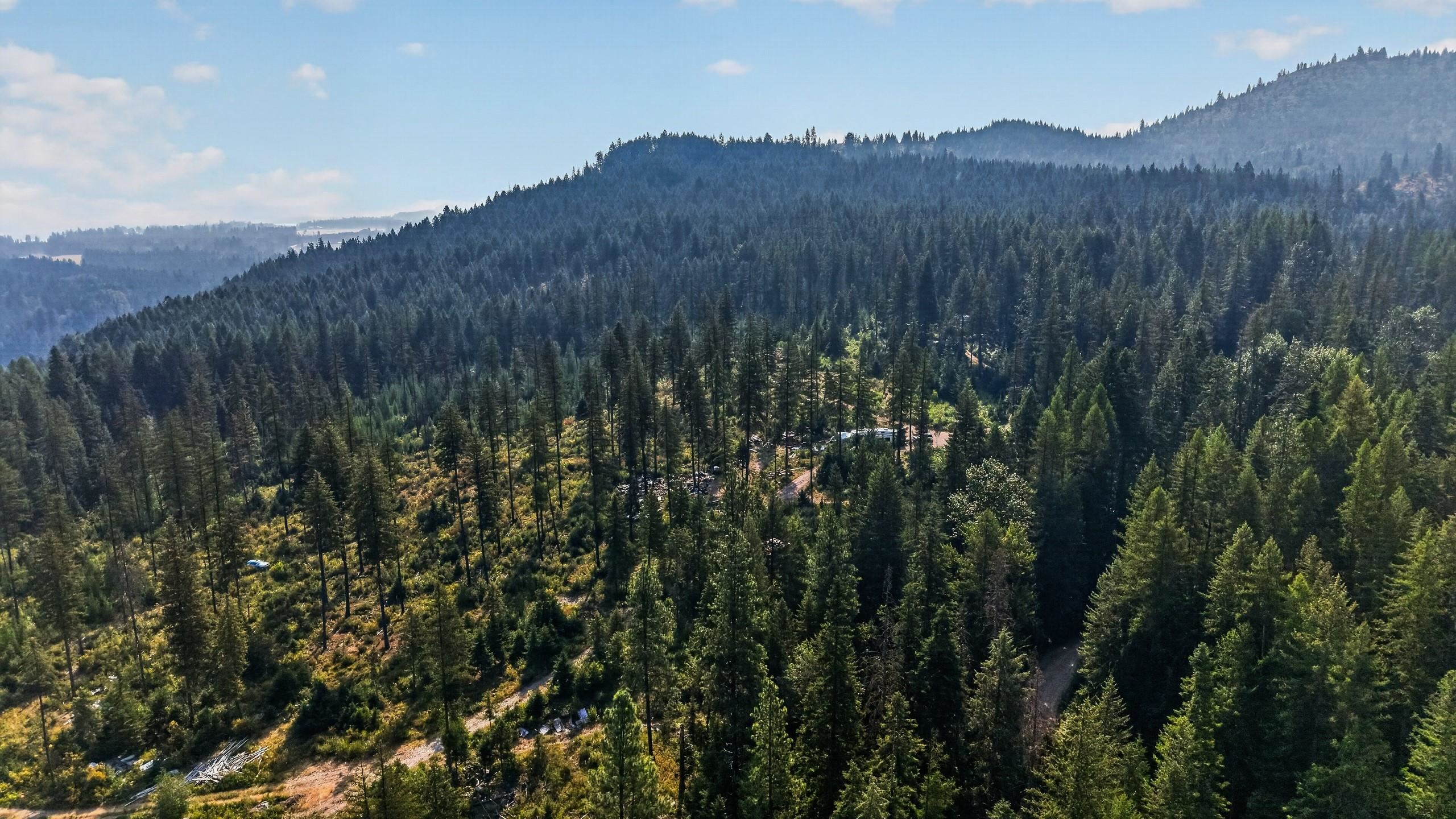 283 apling Ln - Photo 9