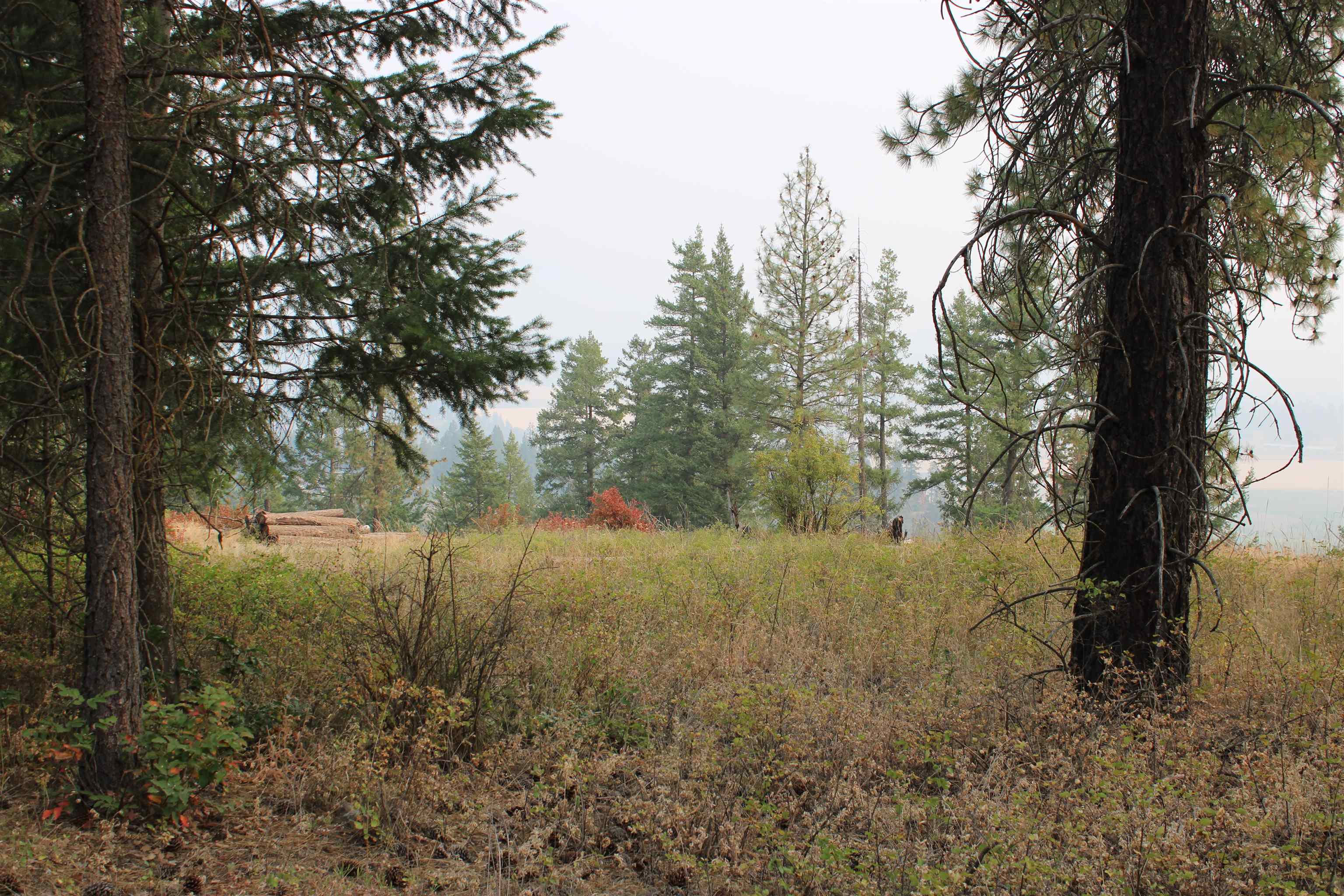 NKA Pine Rose (Lot 1) Way - Photo 5