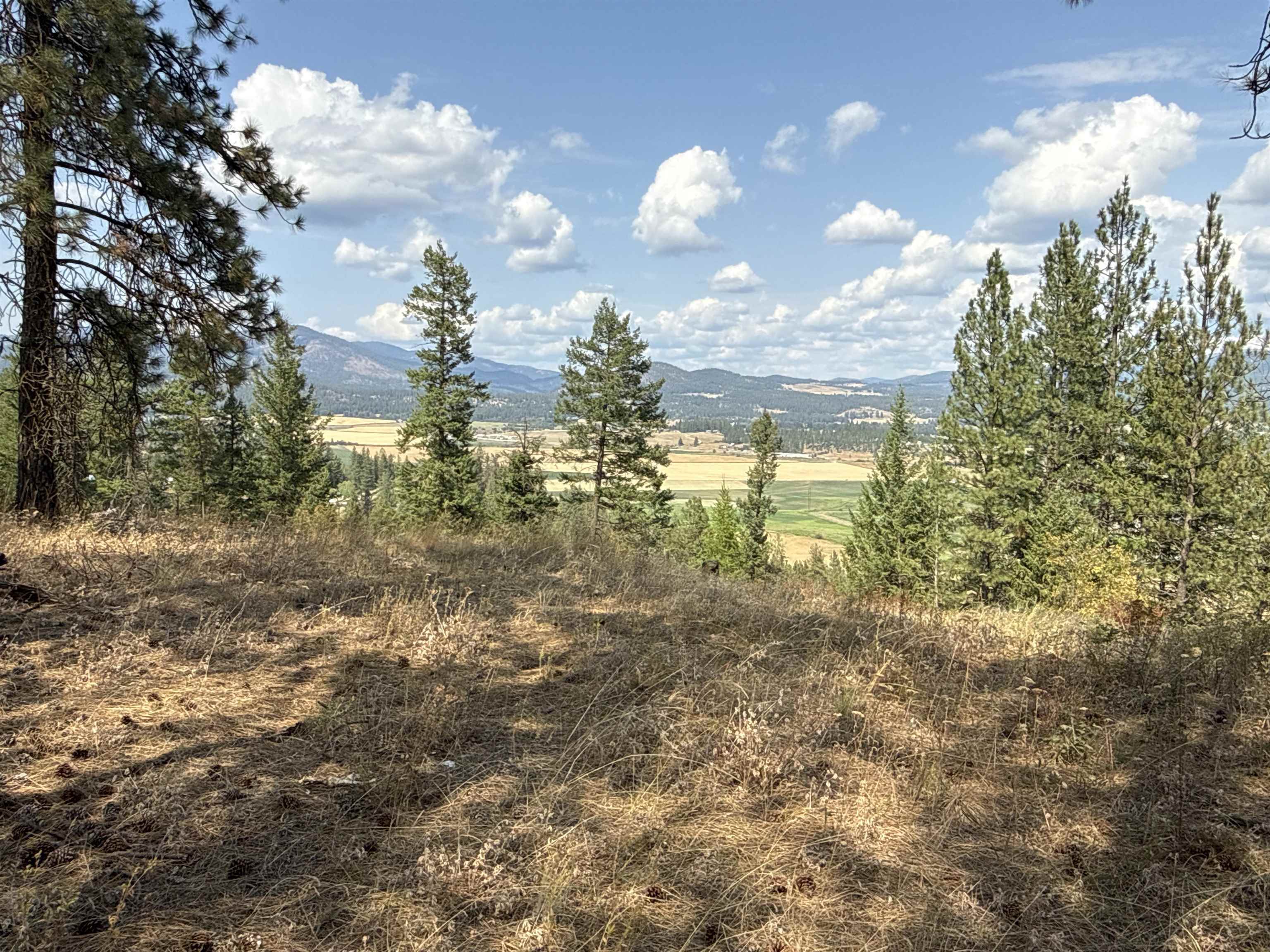NKA Pine Rose (Lot 1) Way - Photo 10