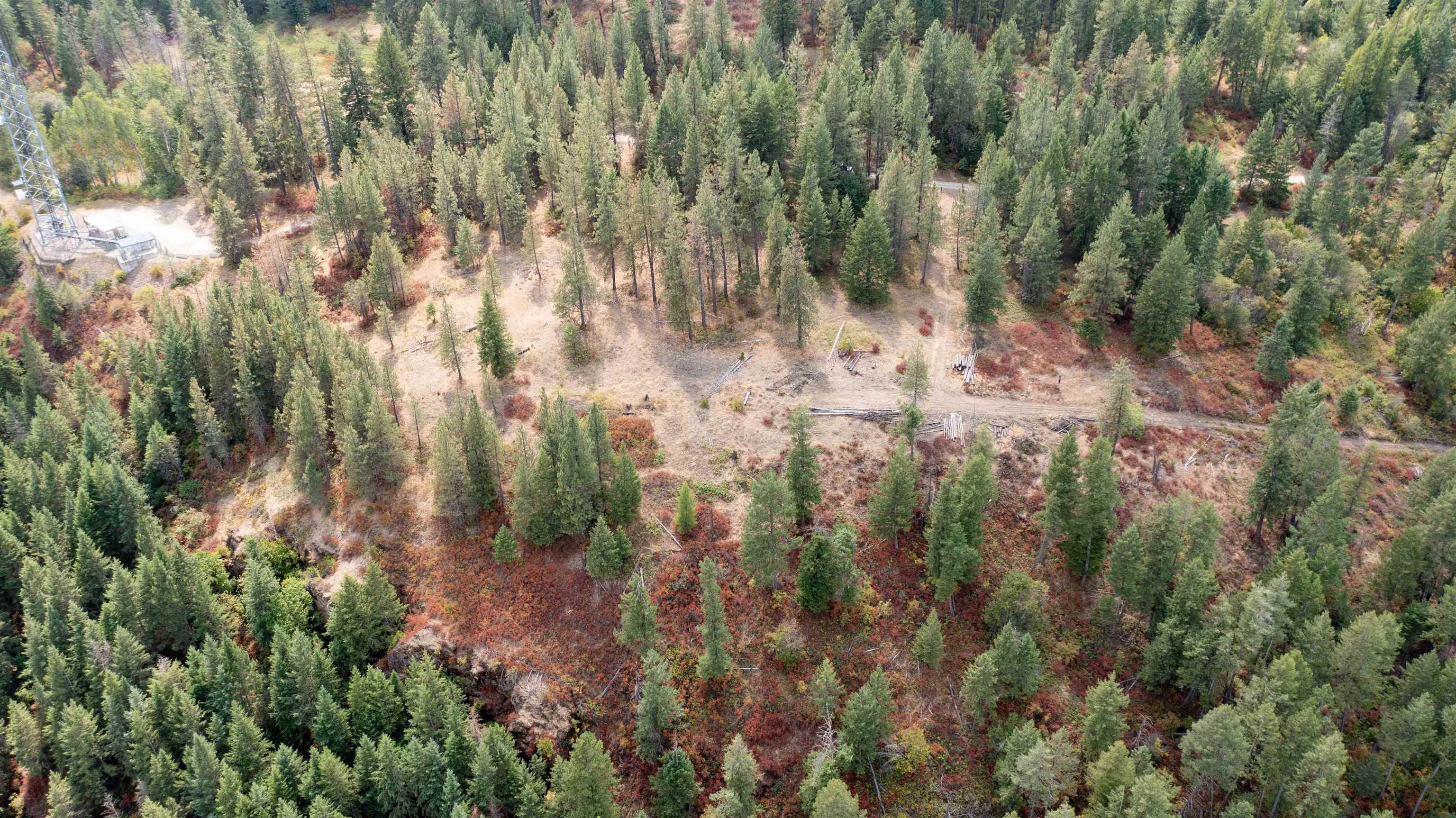 NKA Pine Rose (Lot 1) Way - Photo 20