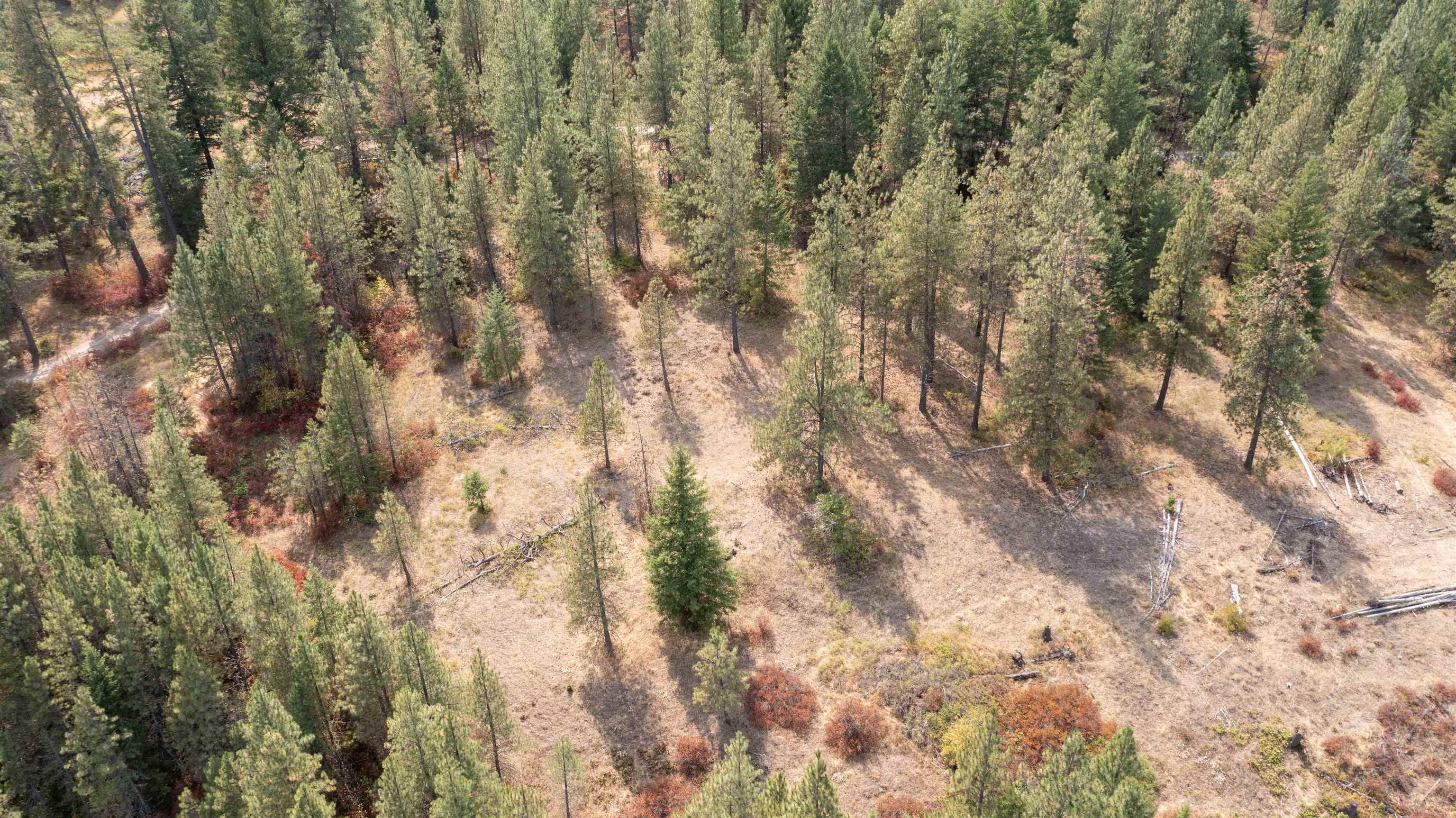 NKA Pine Rose (Lot 1) Way - Photo 21