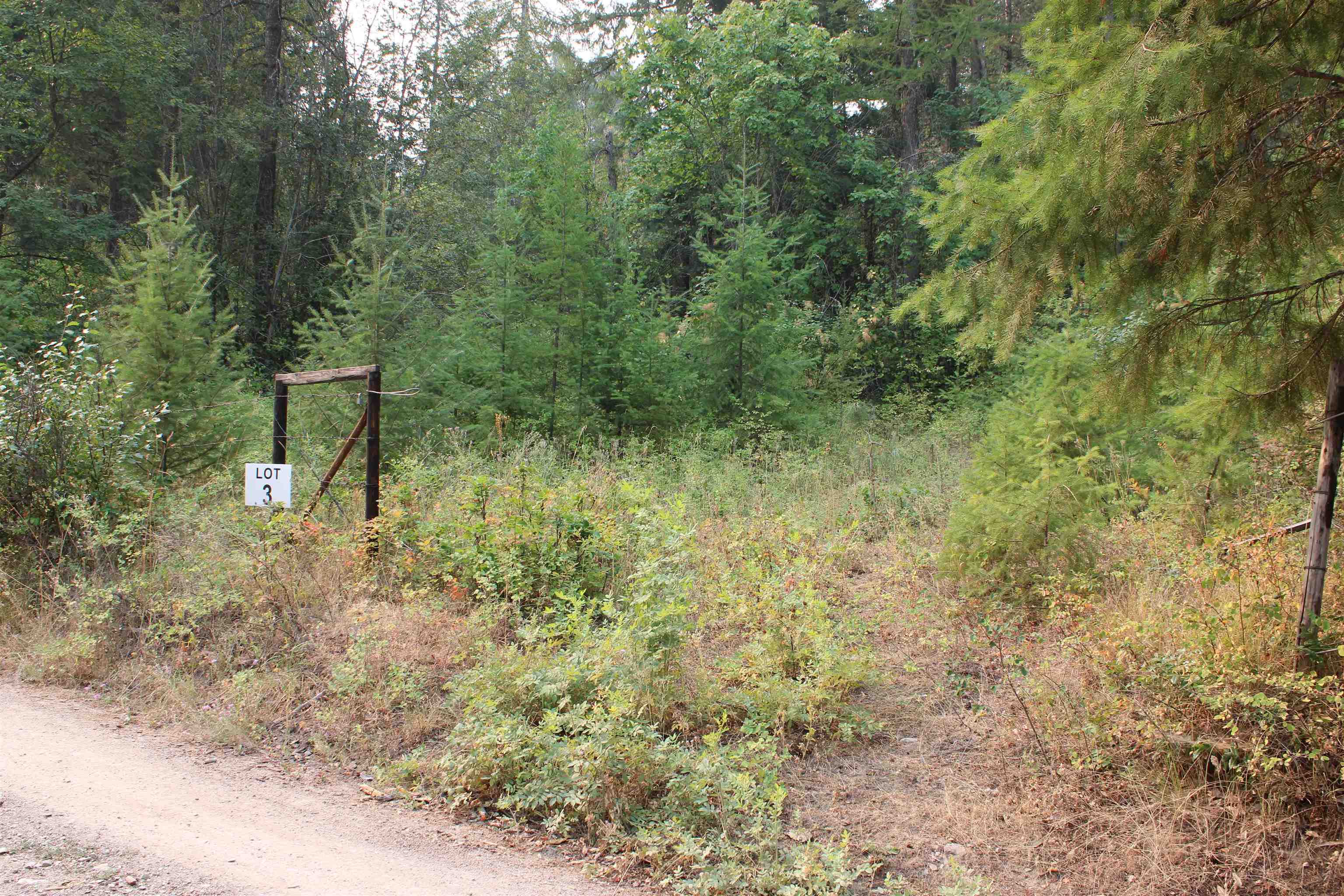 NKA Pine Rose (Lot 3) Way - Photo 1