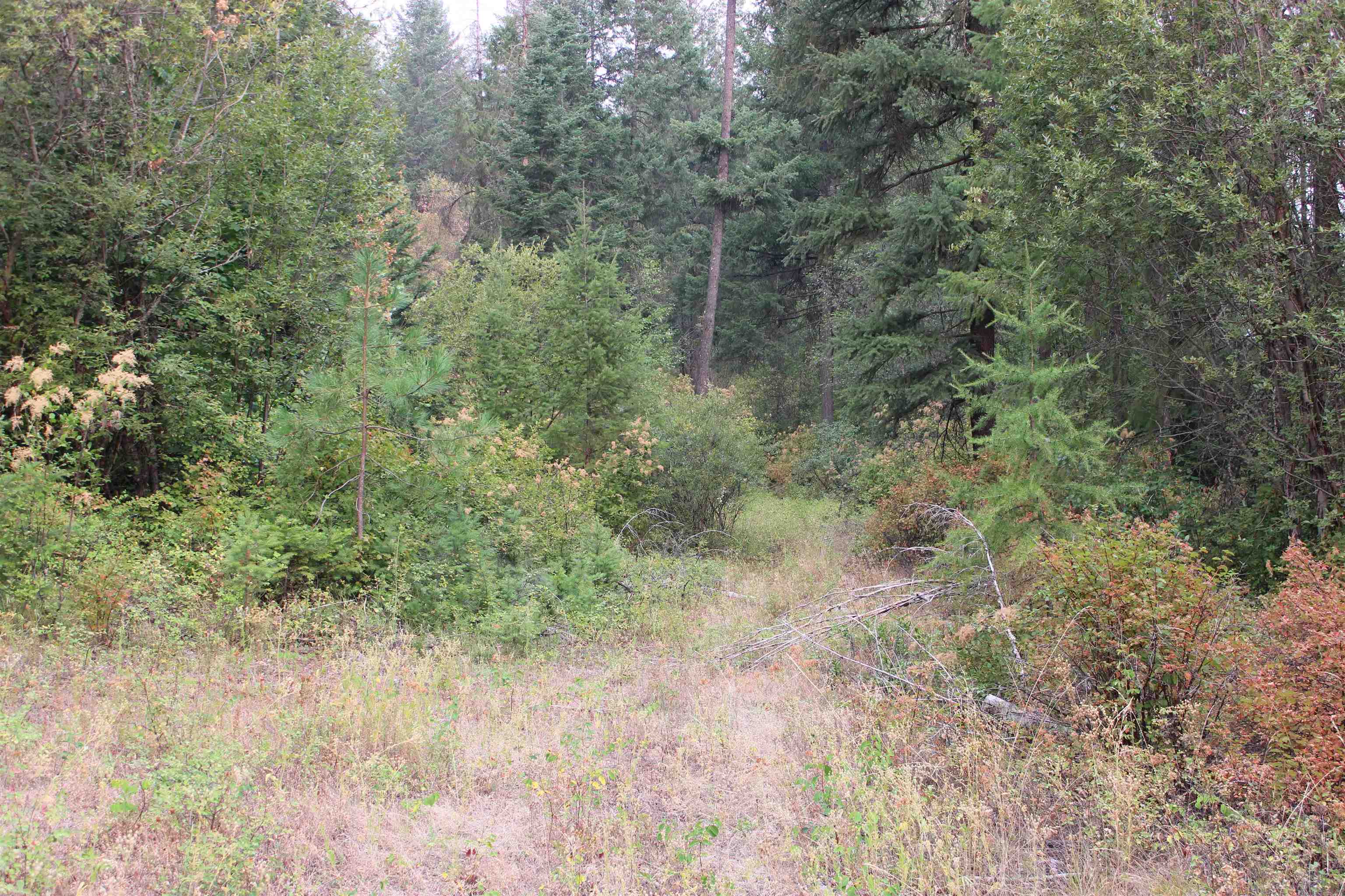 NKA Pine Rose (Lot 3) Way - Photo 2