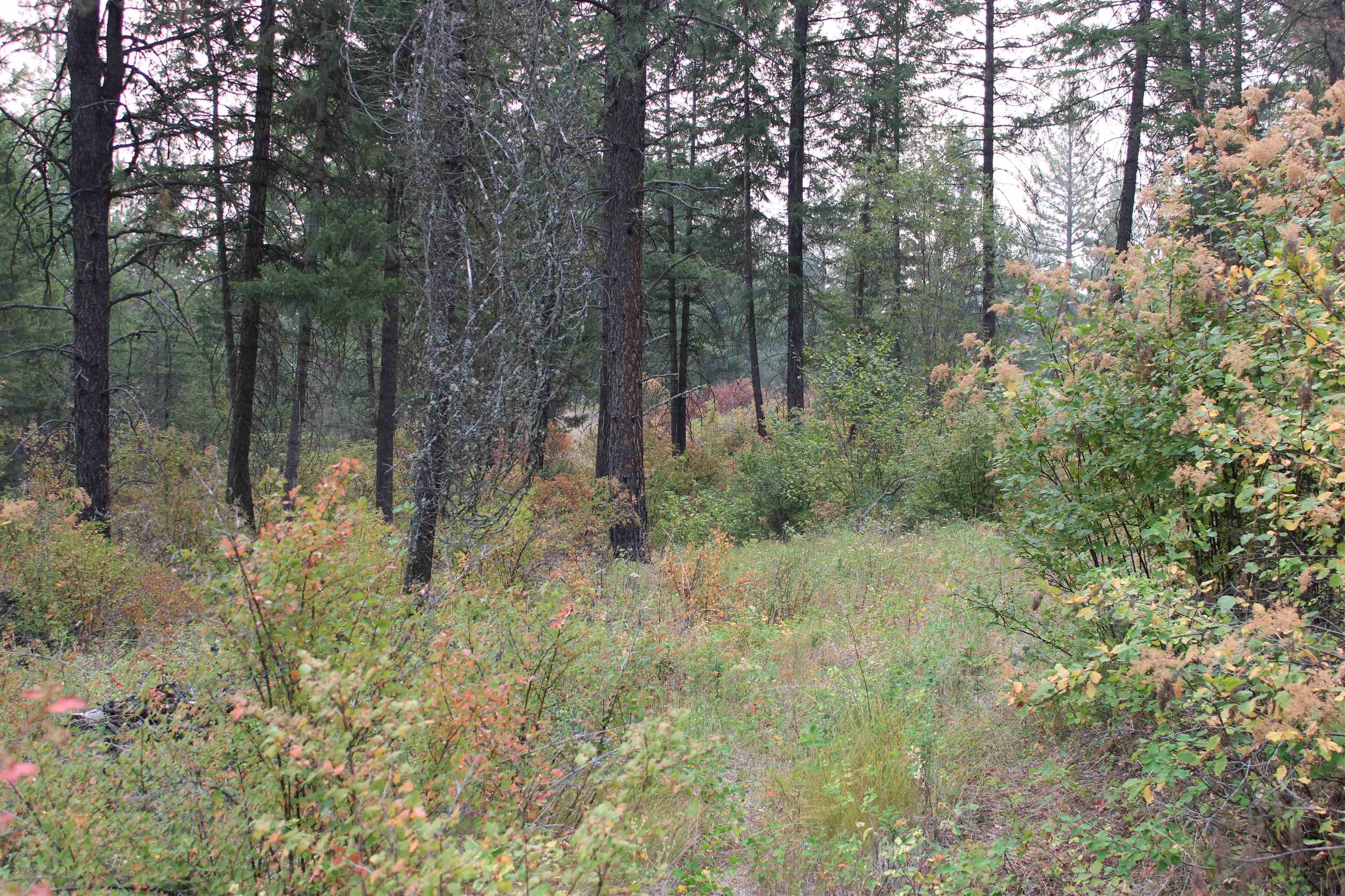 NKA Pine Rose (Lot 3) Way - Photo 4