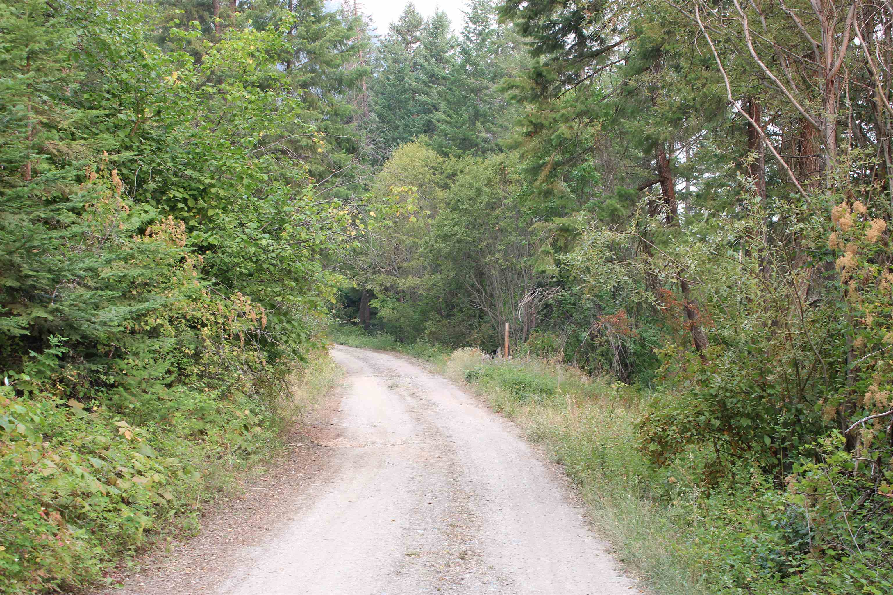 NKA Pine Rose (Lot 3) Way - Photo 16