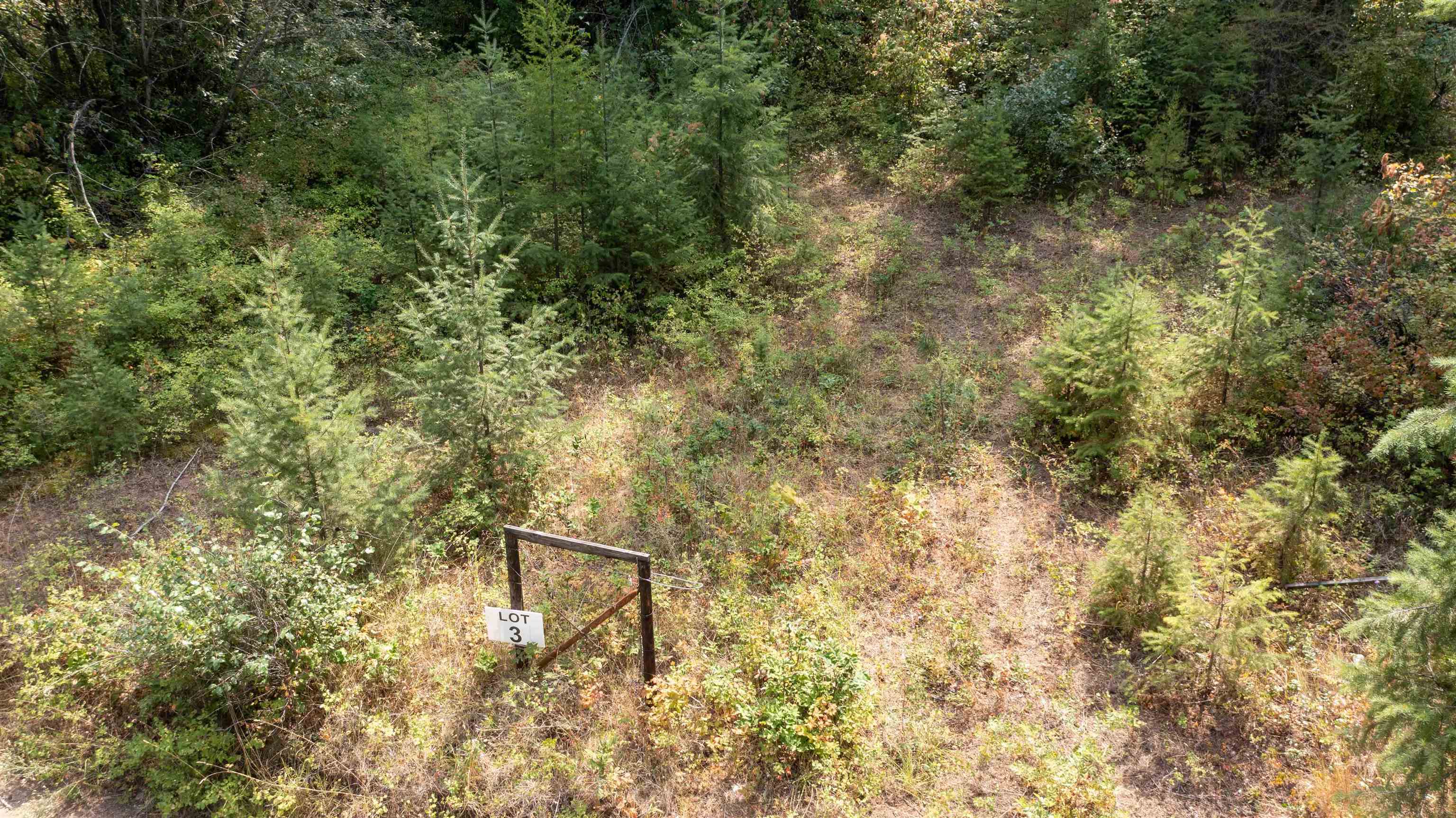 NKA Pine Rose (Lot 3) Way - Photo 18
