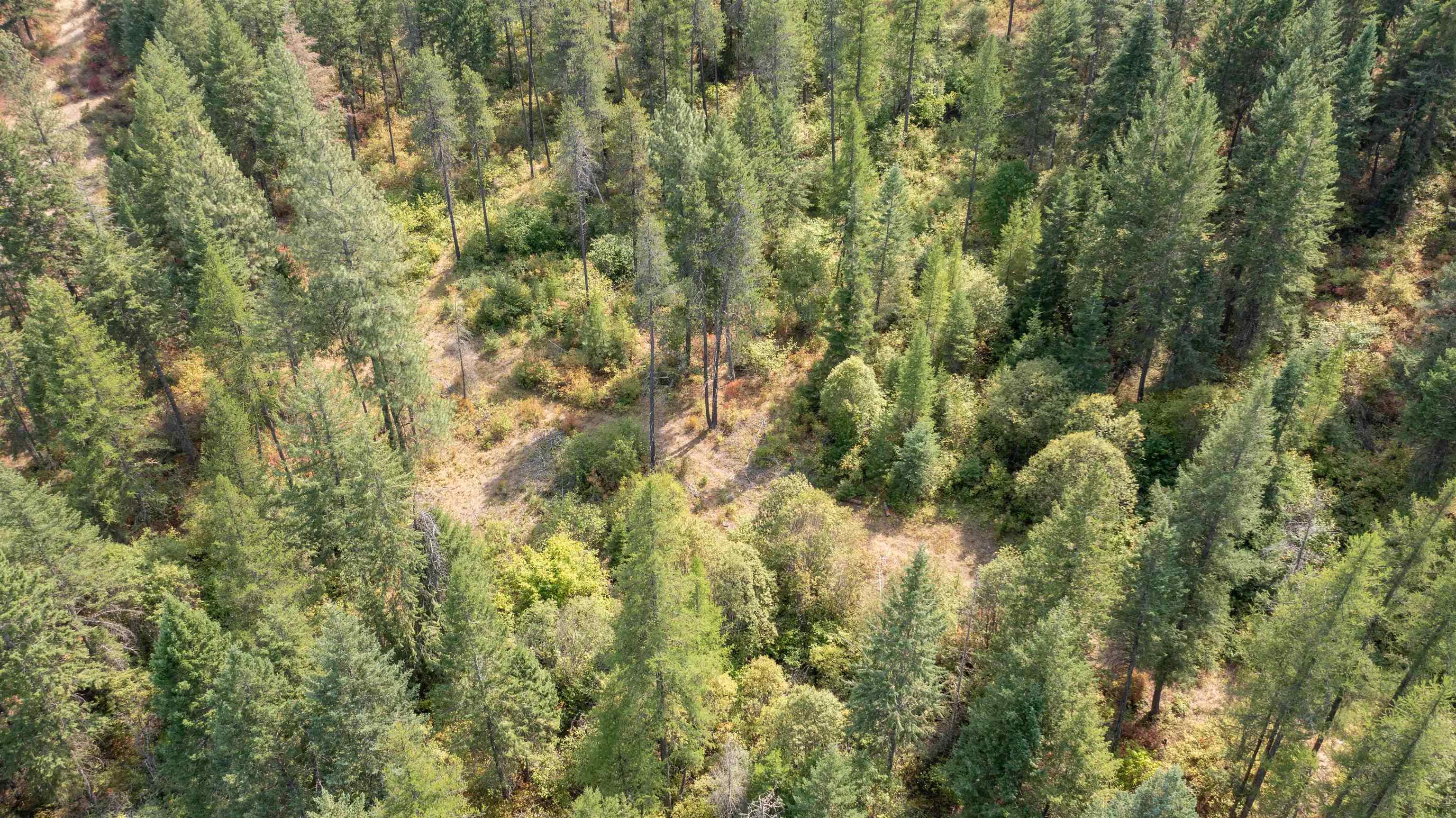 NKA Pine Rose (Lot 3) Way - Photo 20