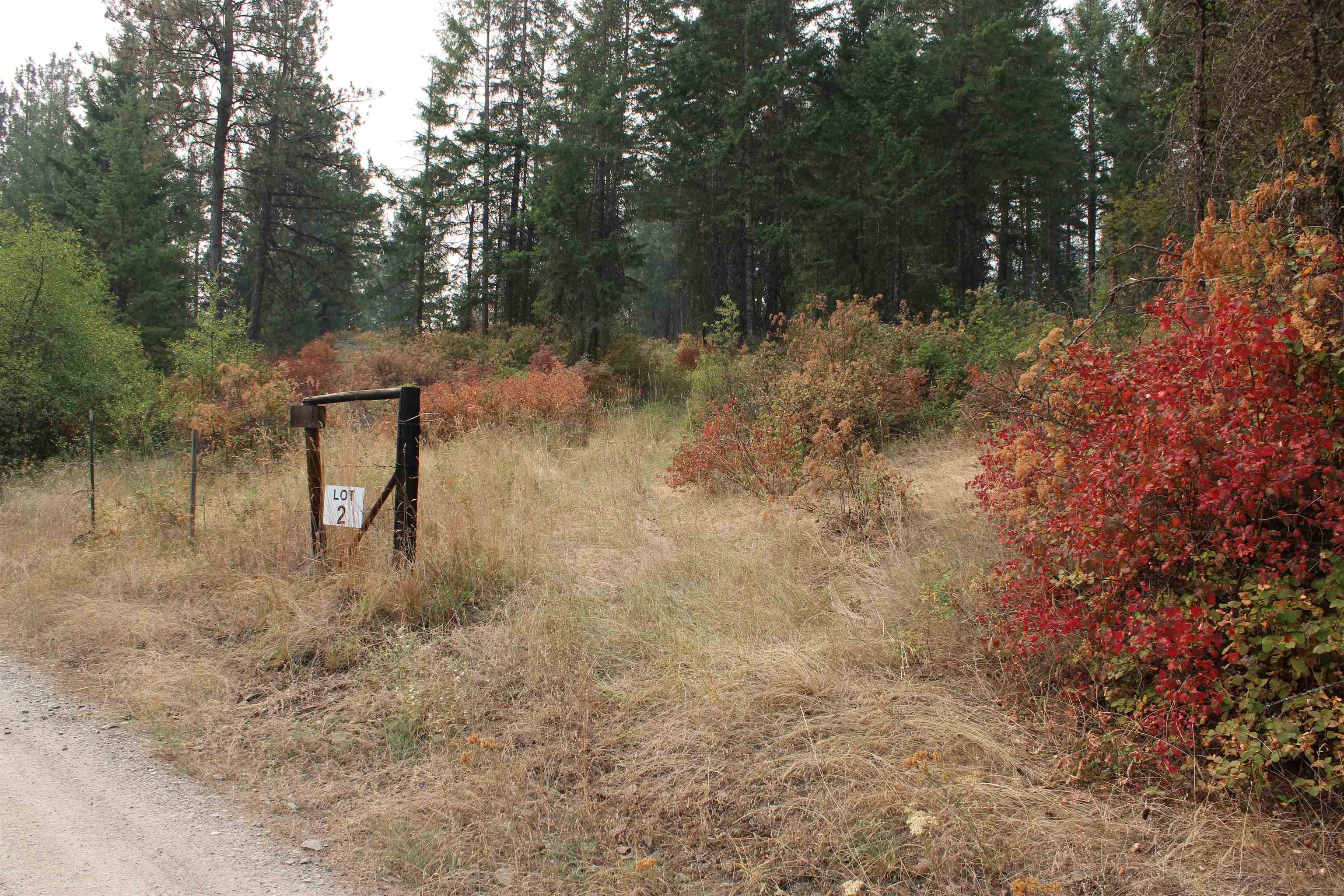NKA Pine Rose (Lot 2) Way - Photo 1