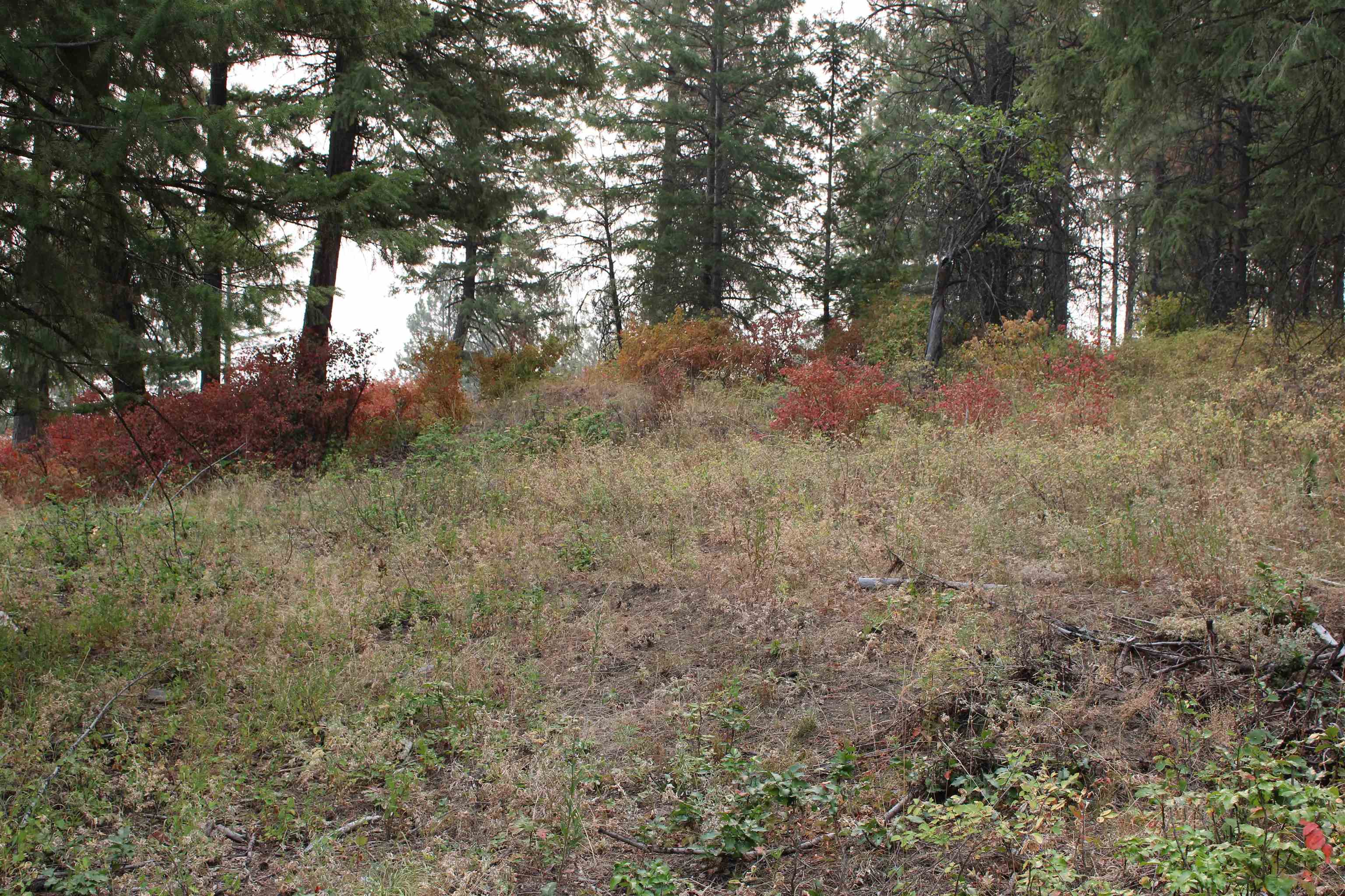 NKA Pine Rose (Lot 2) Way - Photo 3