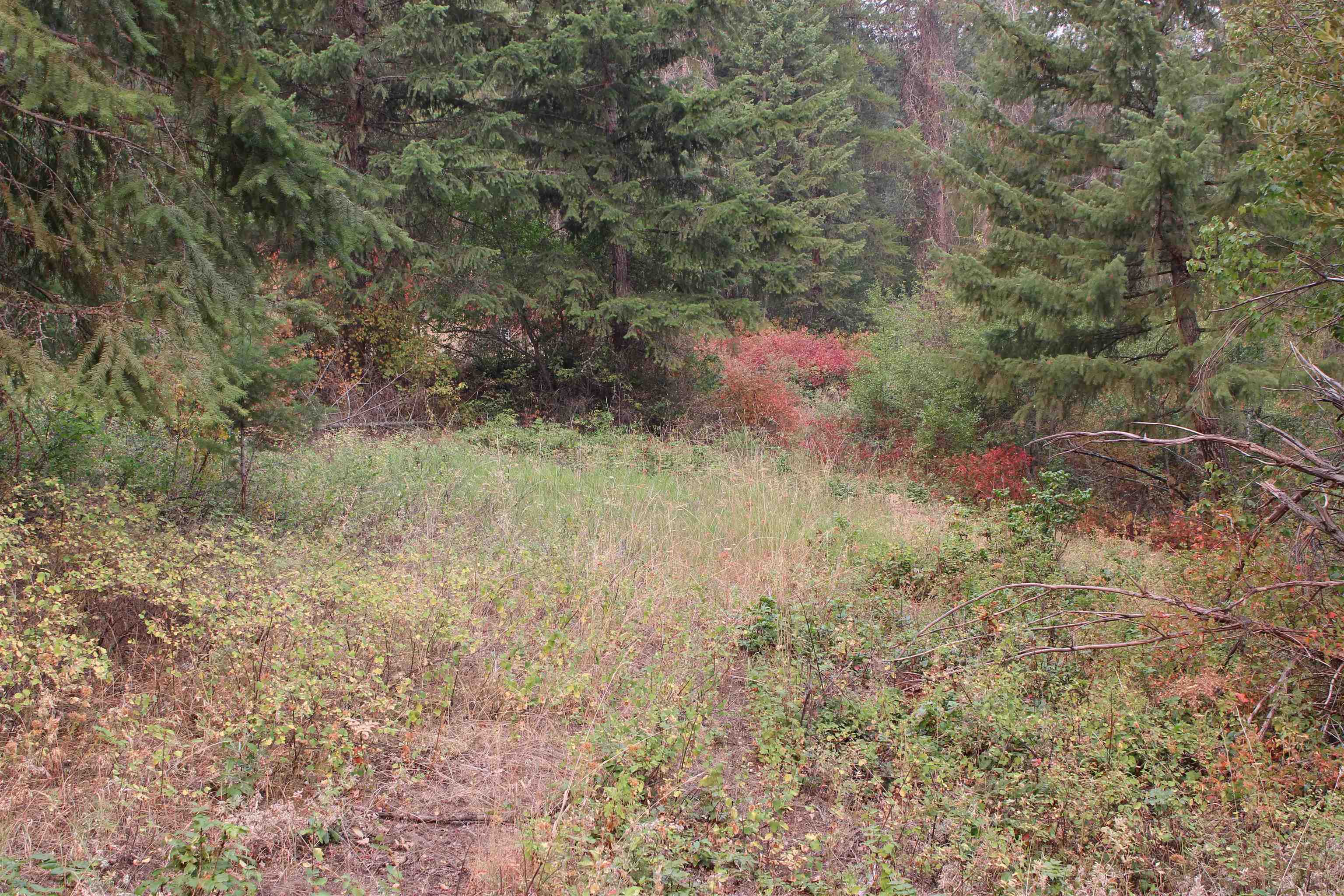 NKA Pine Rose (Lot 2) Way - Photo 4