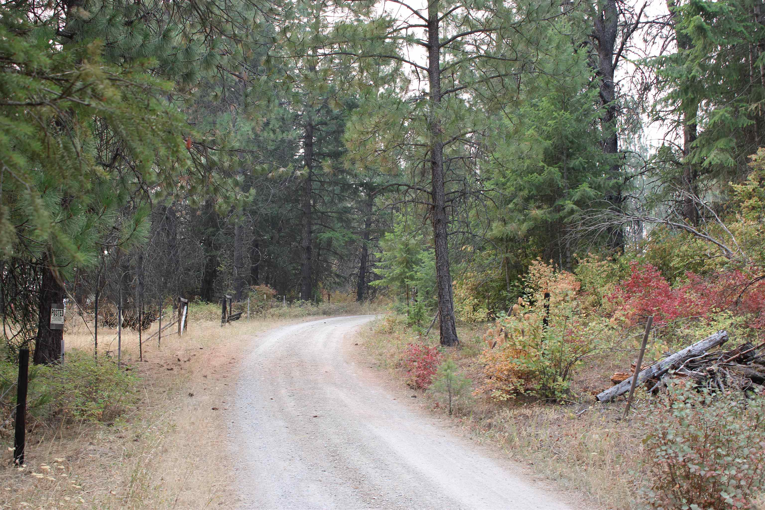 NKA Pine Rose (Lot 2) Way - Photo 15