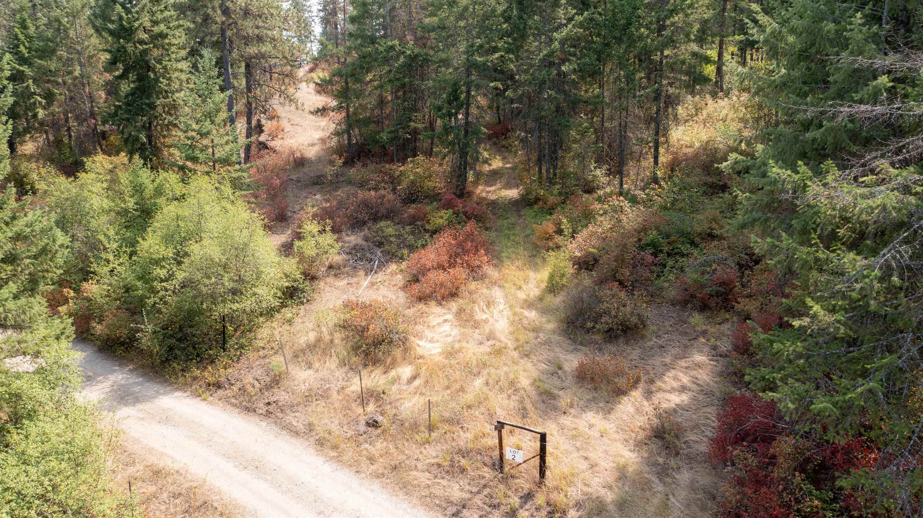 NKA Pine Rose (Lot 2) Way - Photo 17