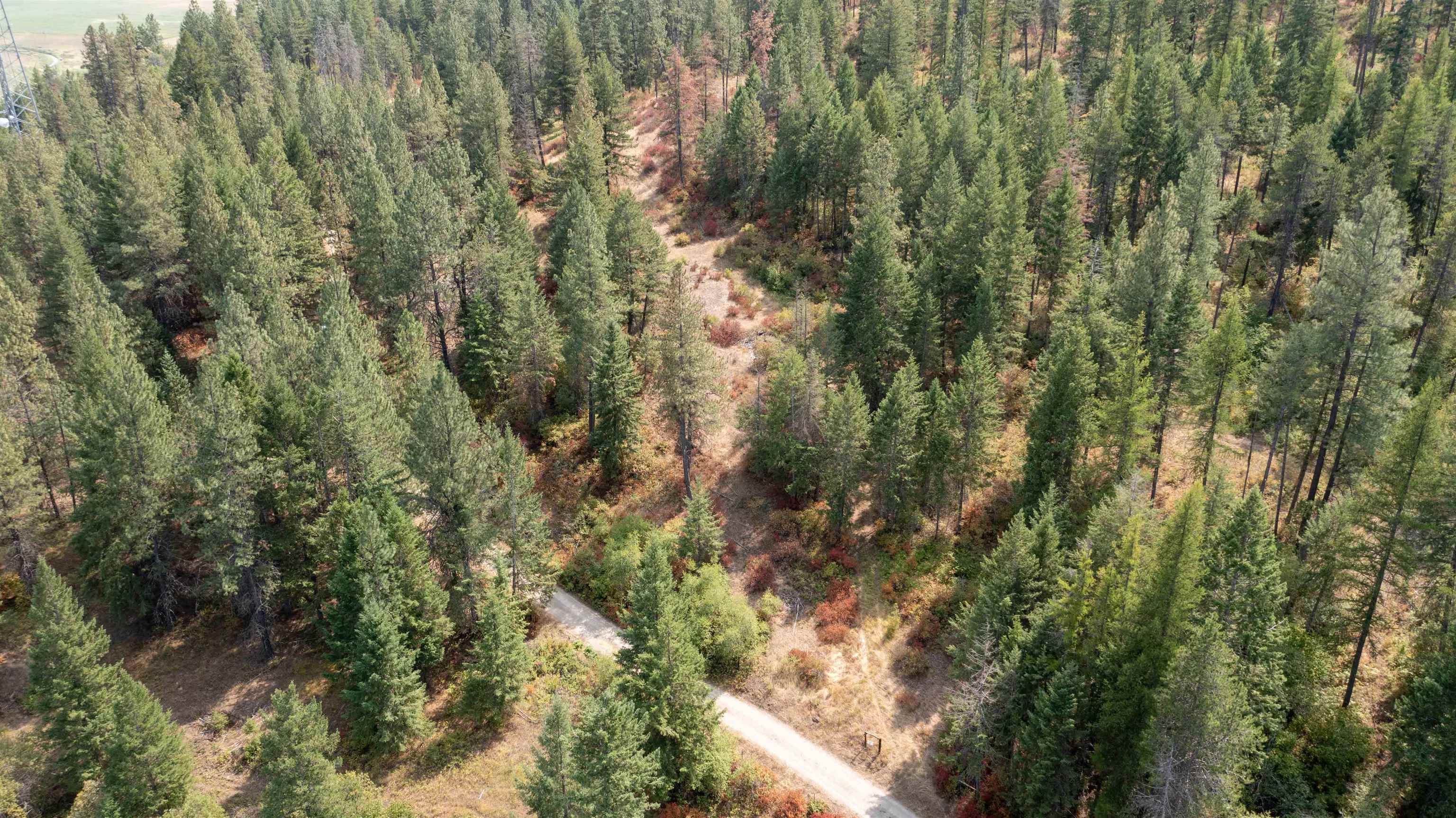 NKA Pine Rose (Lot 2) Way - Photo 18