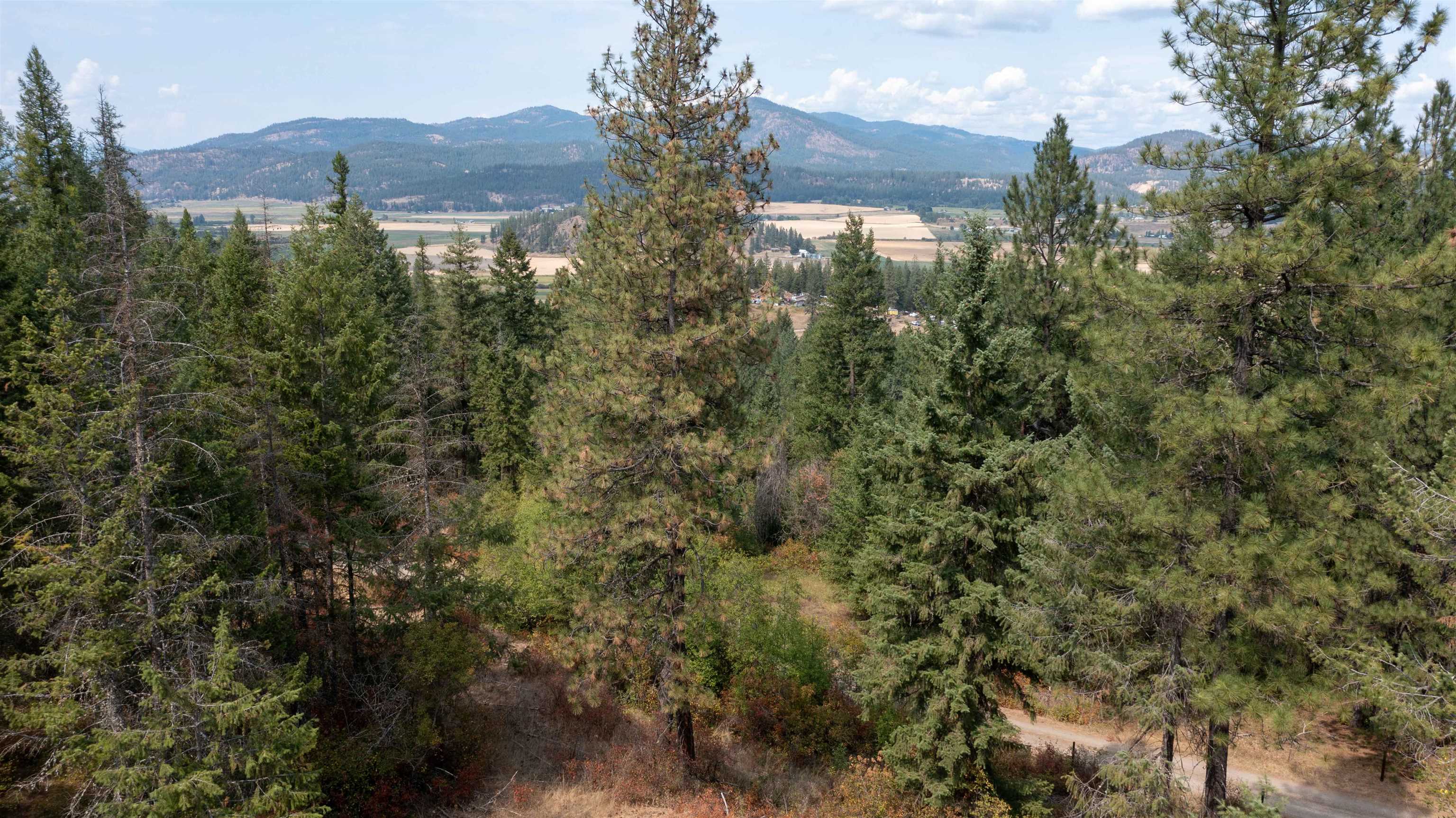 NKA Pine Rose (Lot 2) Way - Photo 20