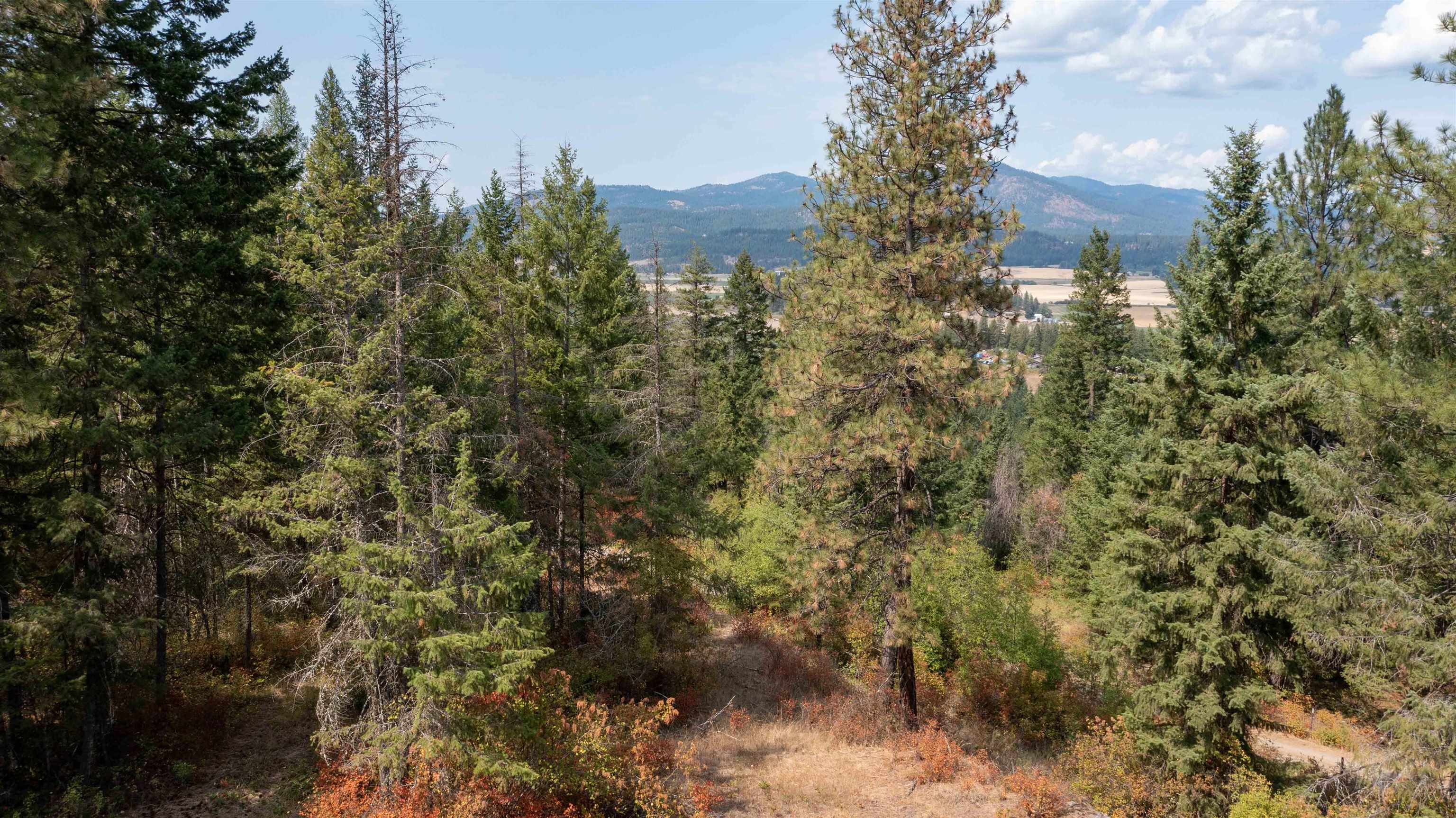 NKA Pine Rose (Lot 2) Way - Photo 21