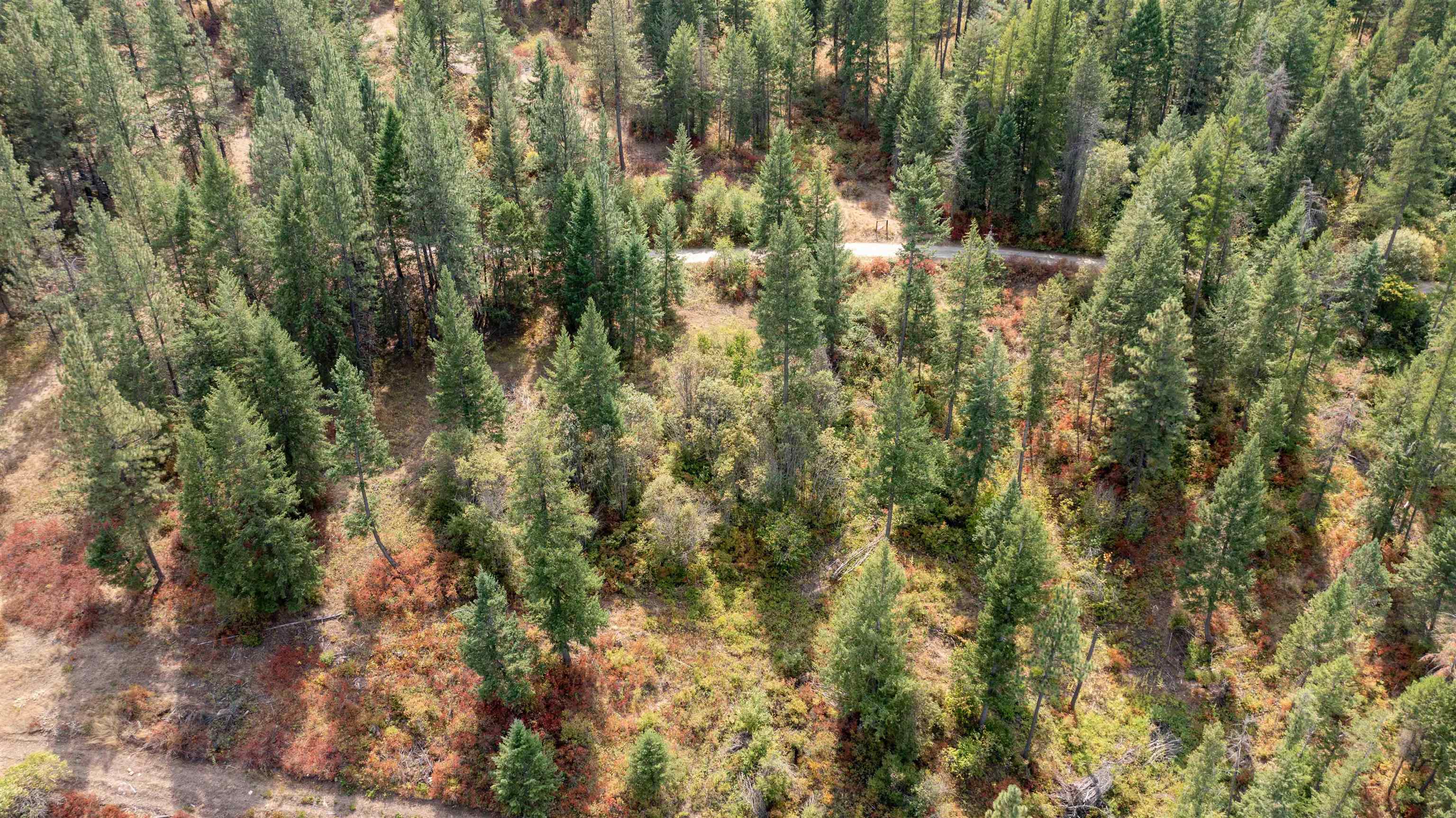 NKA Pine Rose (Lot 2) Way - Photo 22