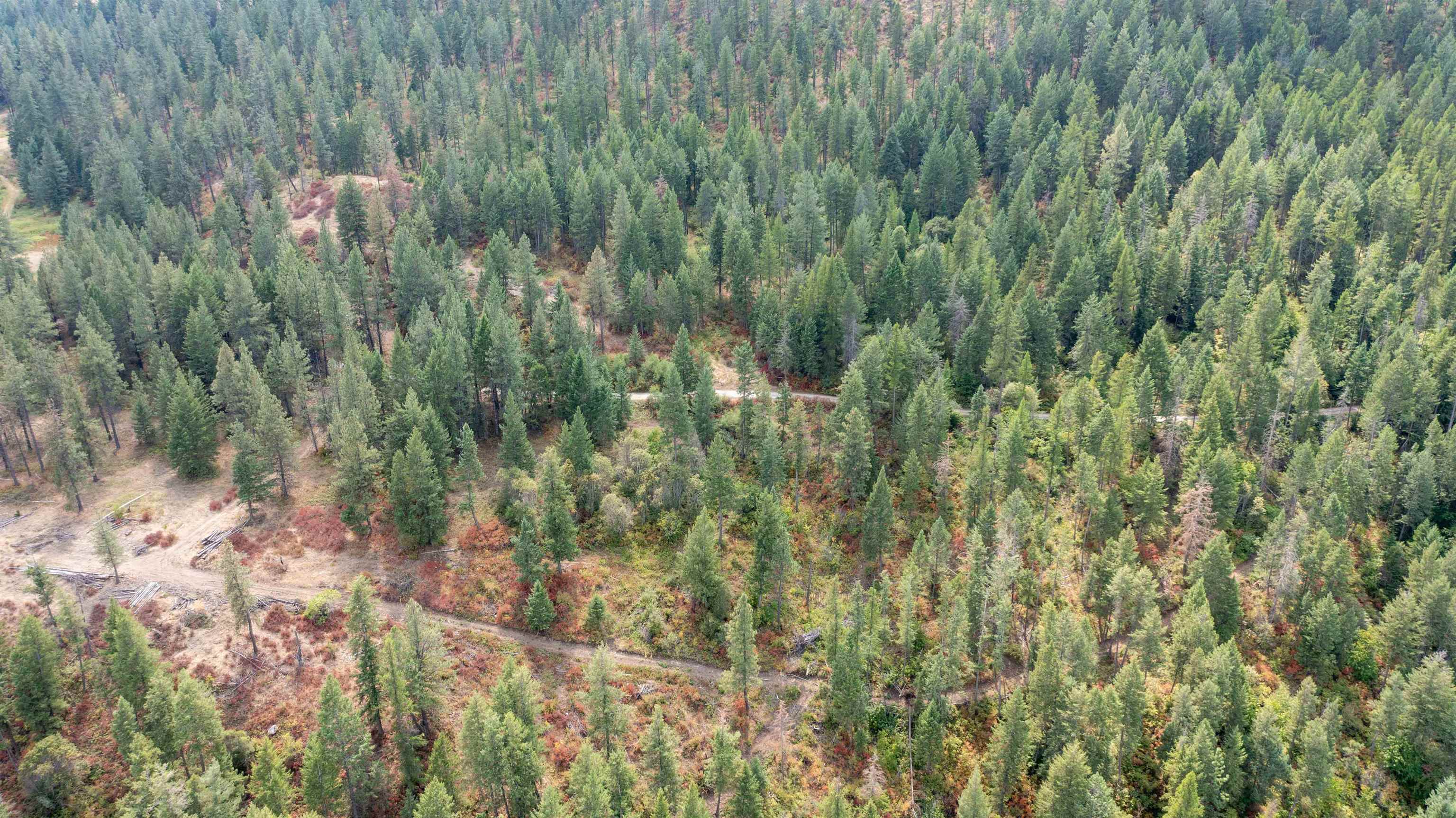 NKA Pine Rose (Lot 2) Way - Photo 23
