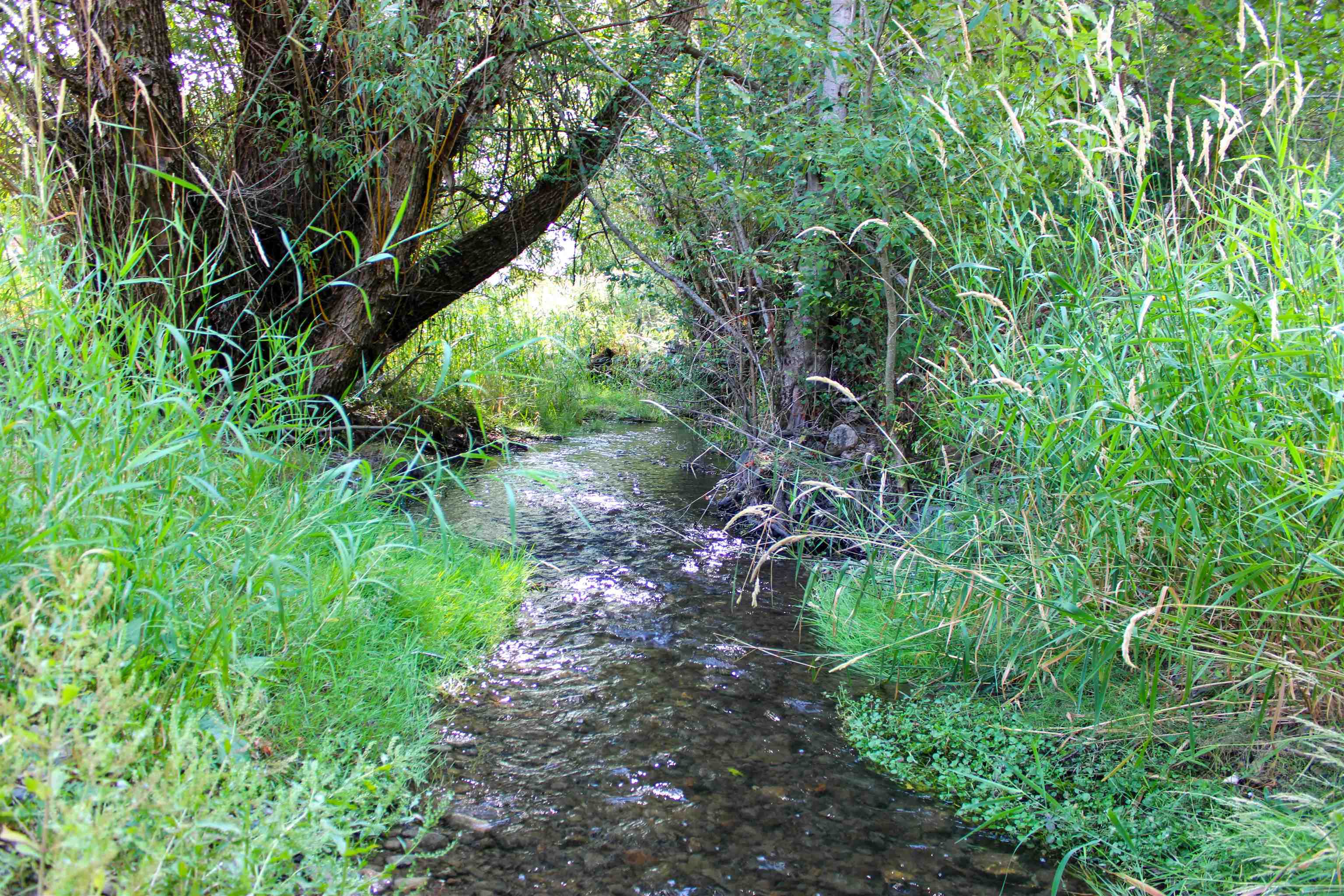 3066 Wrights Valley Rd - Photo 22